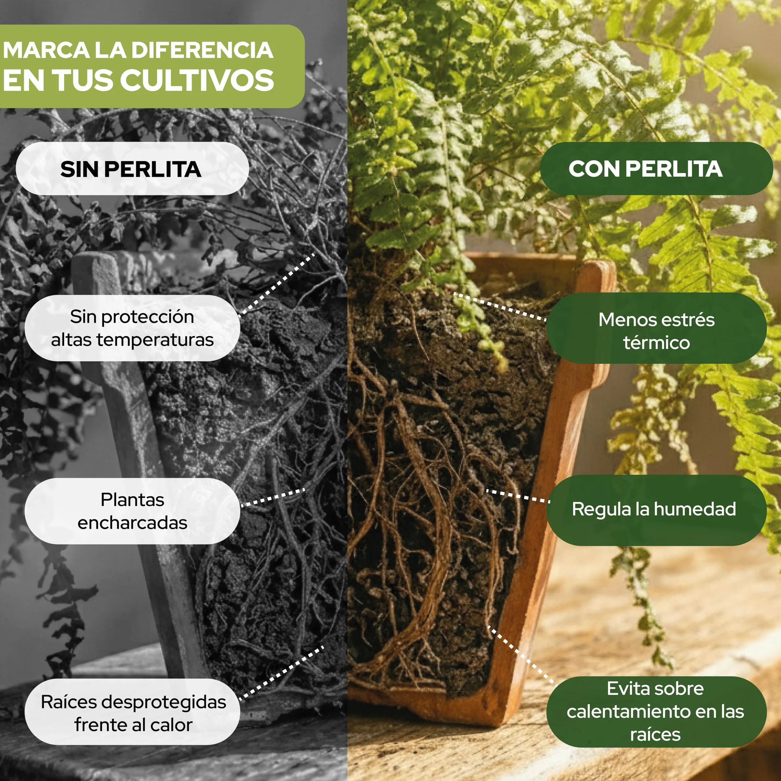 Perlita 10L Sustrato Natural para Plantas y Cultivos Interior Exterior