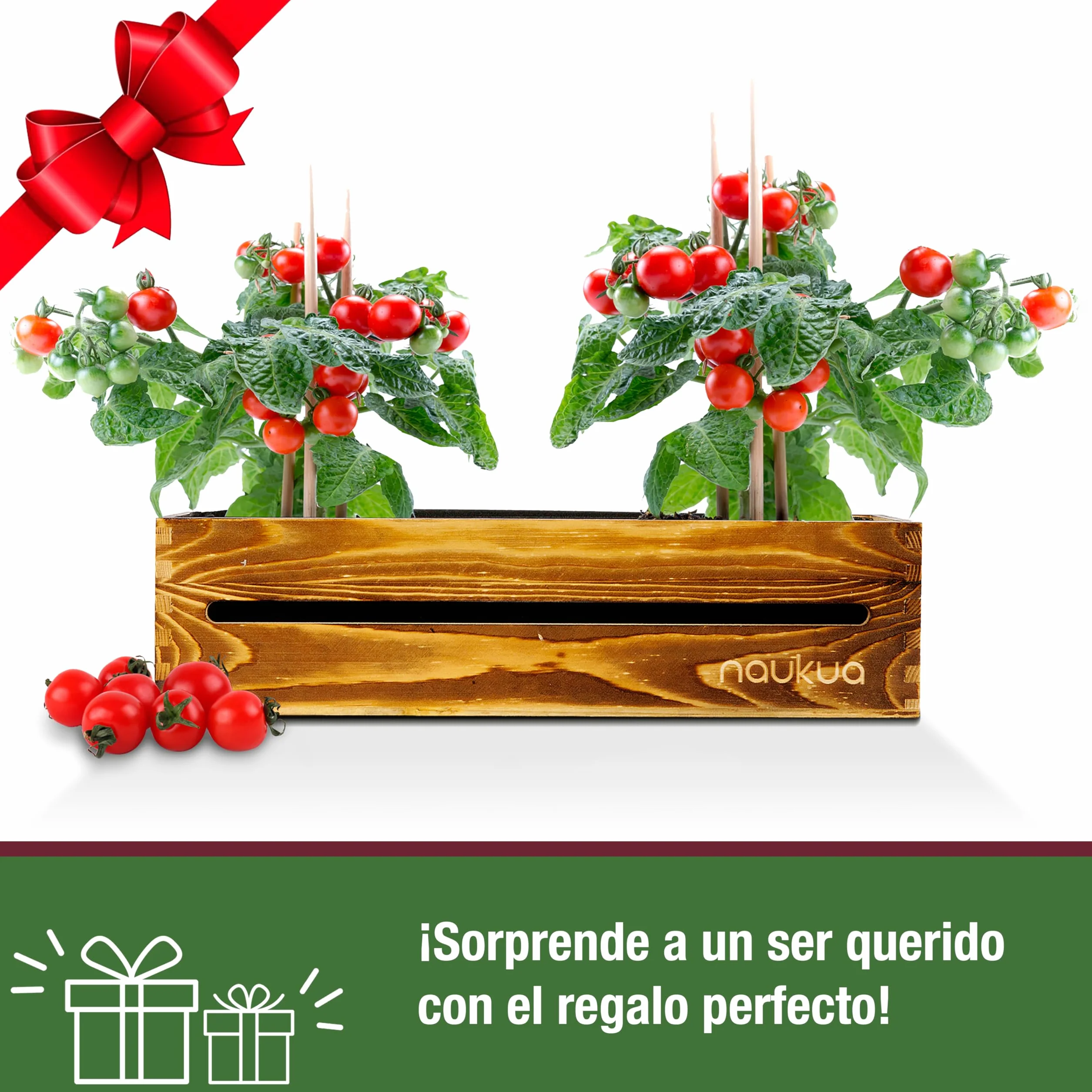 Kit Completo Mini Huerto Urbano Tomates Cherry Semillas Orgánicas España