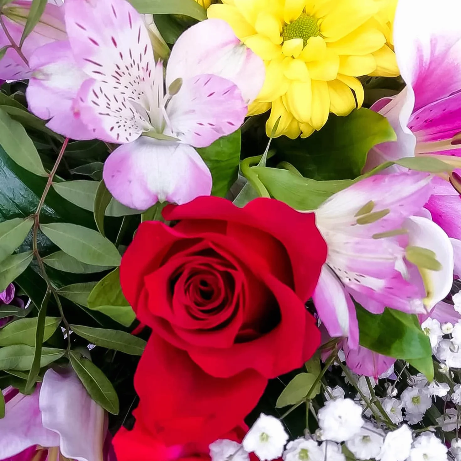 Ramo de flores naturales a domicilio - Flores frescas - Entrega gratis 24 horas - Tarjeta dedicatoria