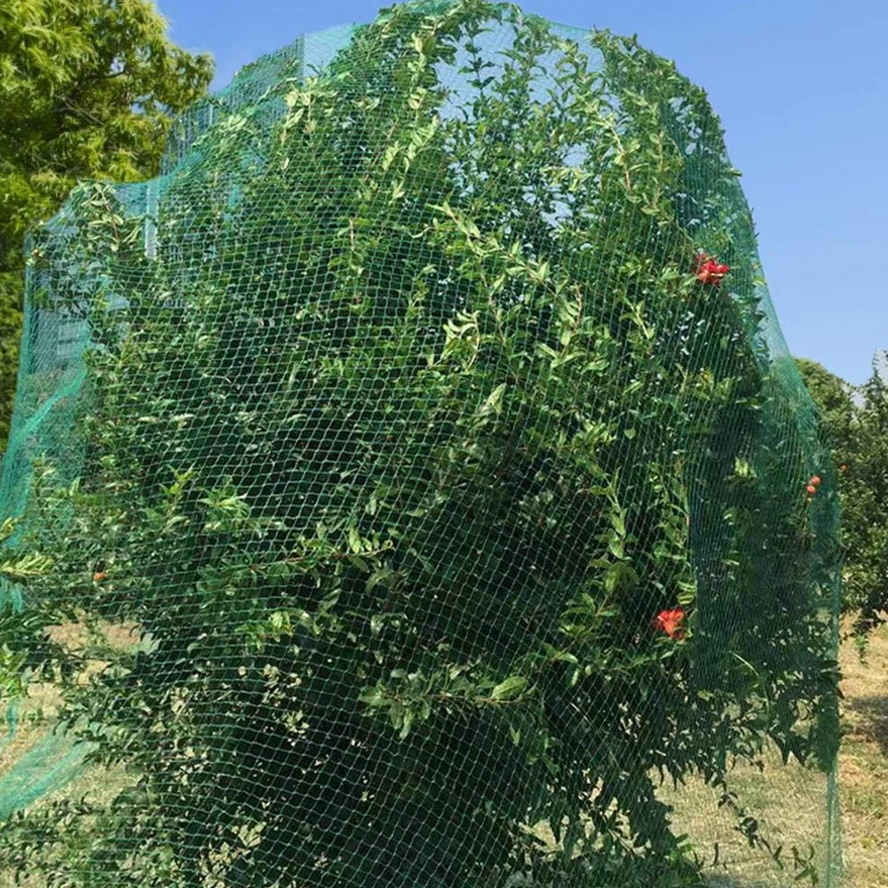 Malla AntipáJaros Netting Reutable Garden Net Cercado para árboles frutales Protección de Verduras (Size : 4 x 10m)