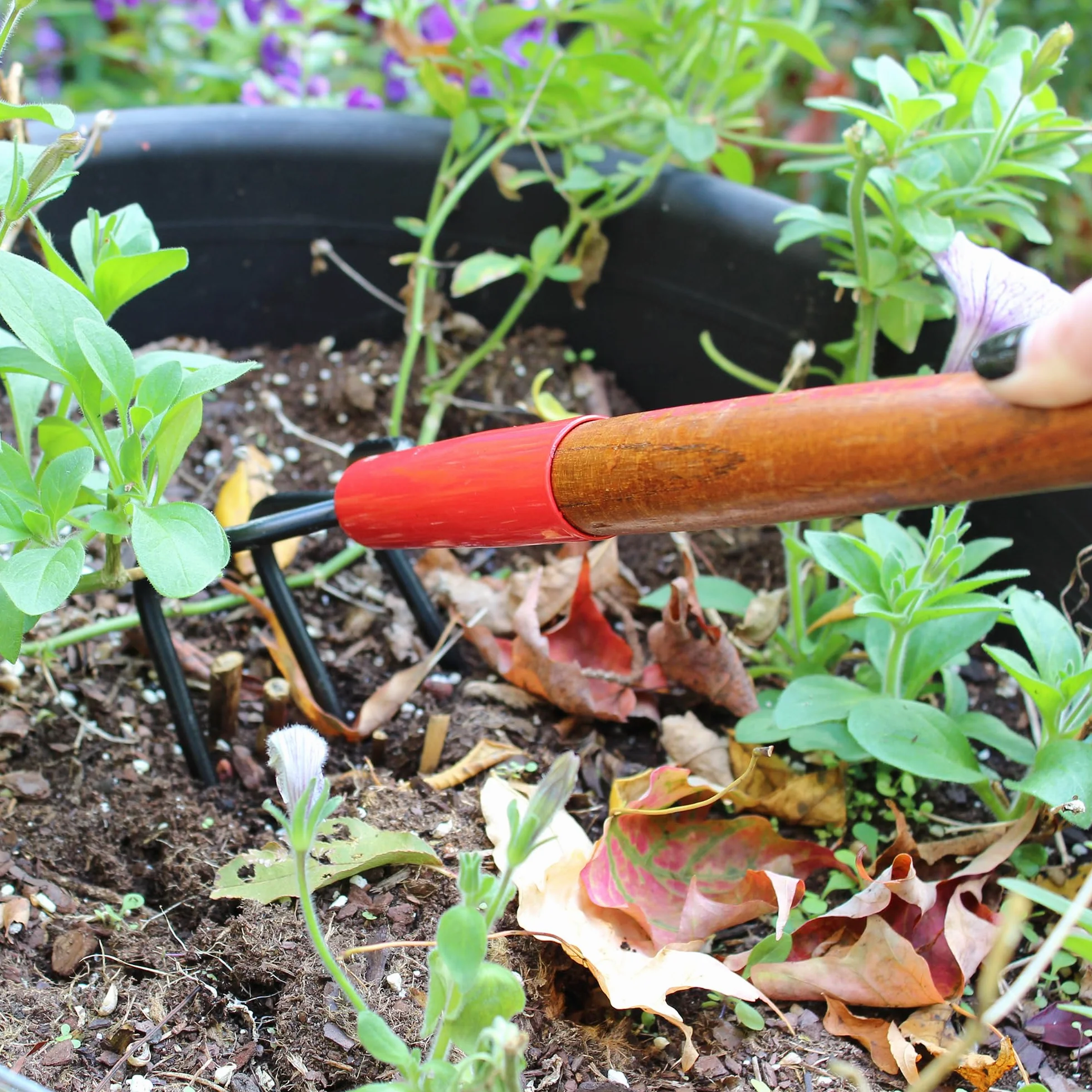 Emsco Group 1666-1 15 Pulgadas Forjado 3 Dientes cultivador Miniatura Herramientas de jardinería, Madera