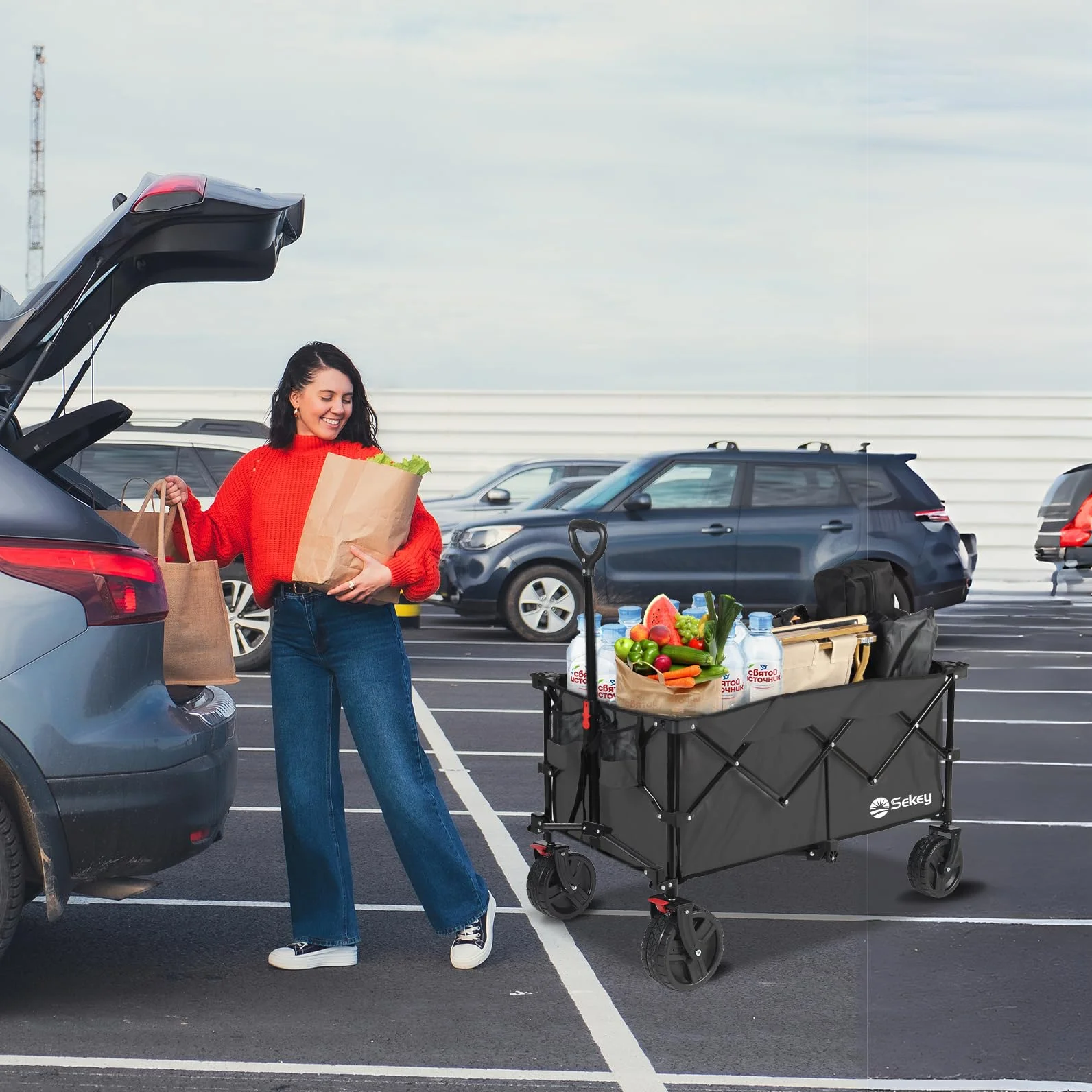 Sekey XXL Plus Carro Playa Ruedas Grandes con Frenos 200L 200KG, Carrito Plegable Todo Terreno SE4011, Negro Profundo
