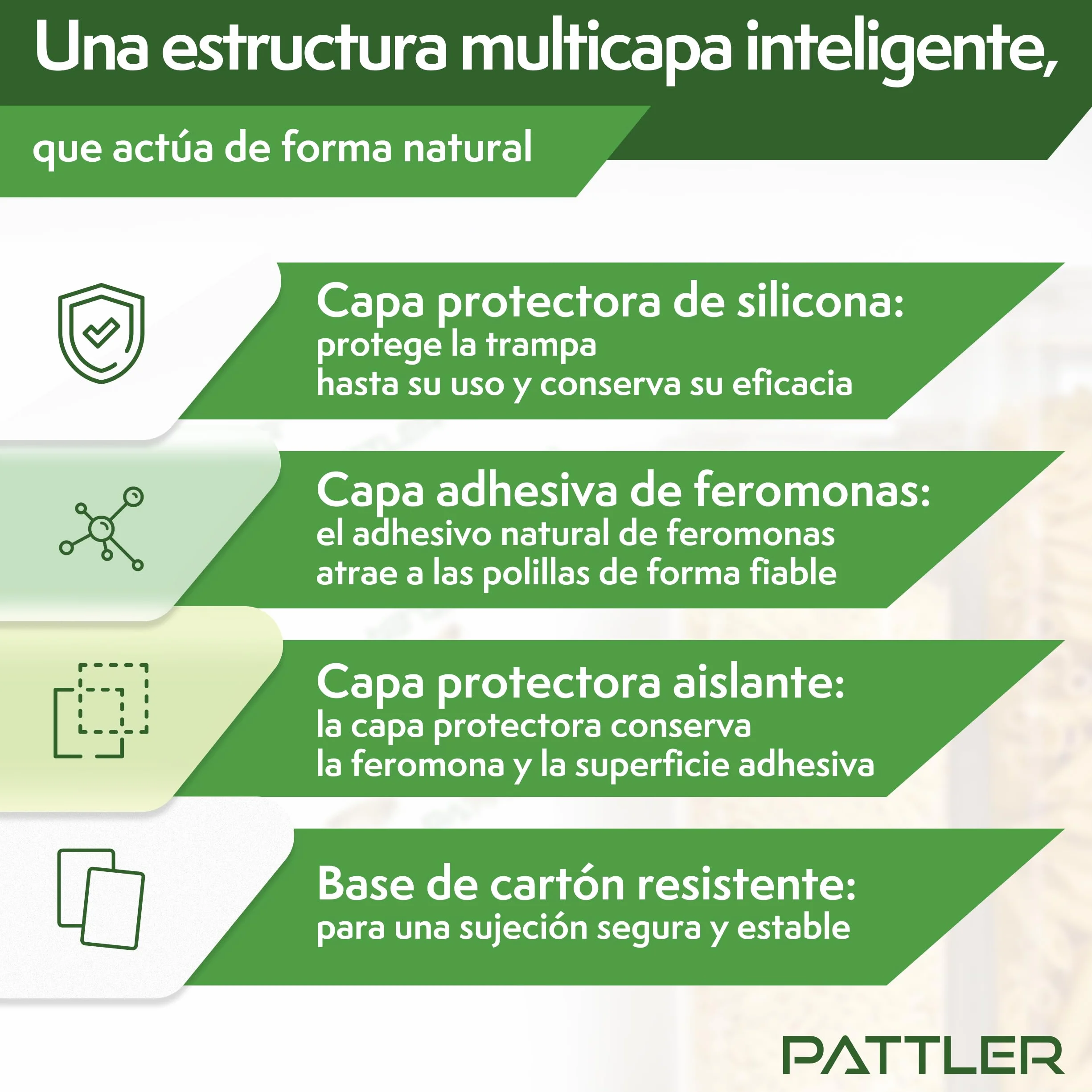 PATTLER Trampa polillas Alimentos 12 uds. Antipolillas Cocina despensa Captura polillas