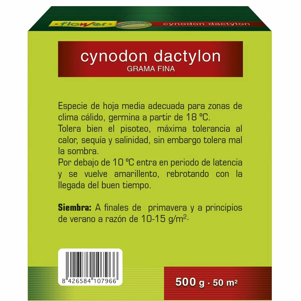 Semillas Cynodon Dactilon 500g Grama Fina para 50m2 Máxima Tolerancia al Calor Riego Escaso