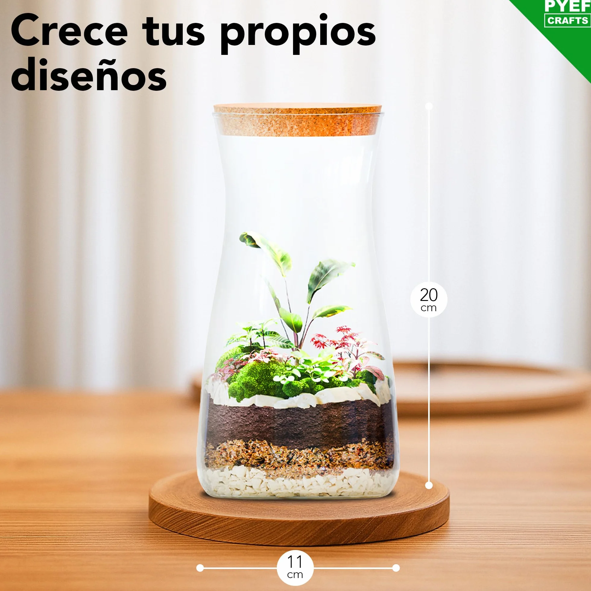 Kit Terrario de Cristal DIY Set Decoración Ecosistema Cerrado Bosque Eterno Interior Frasco Accesorios Hogar Regalo Original