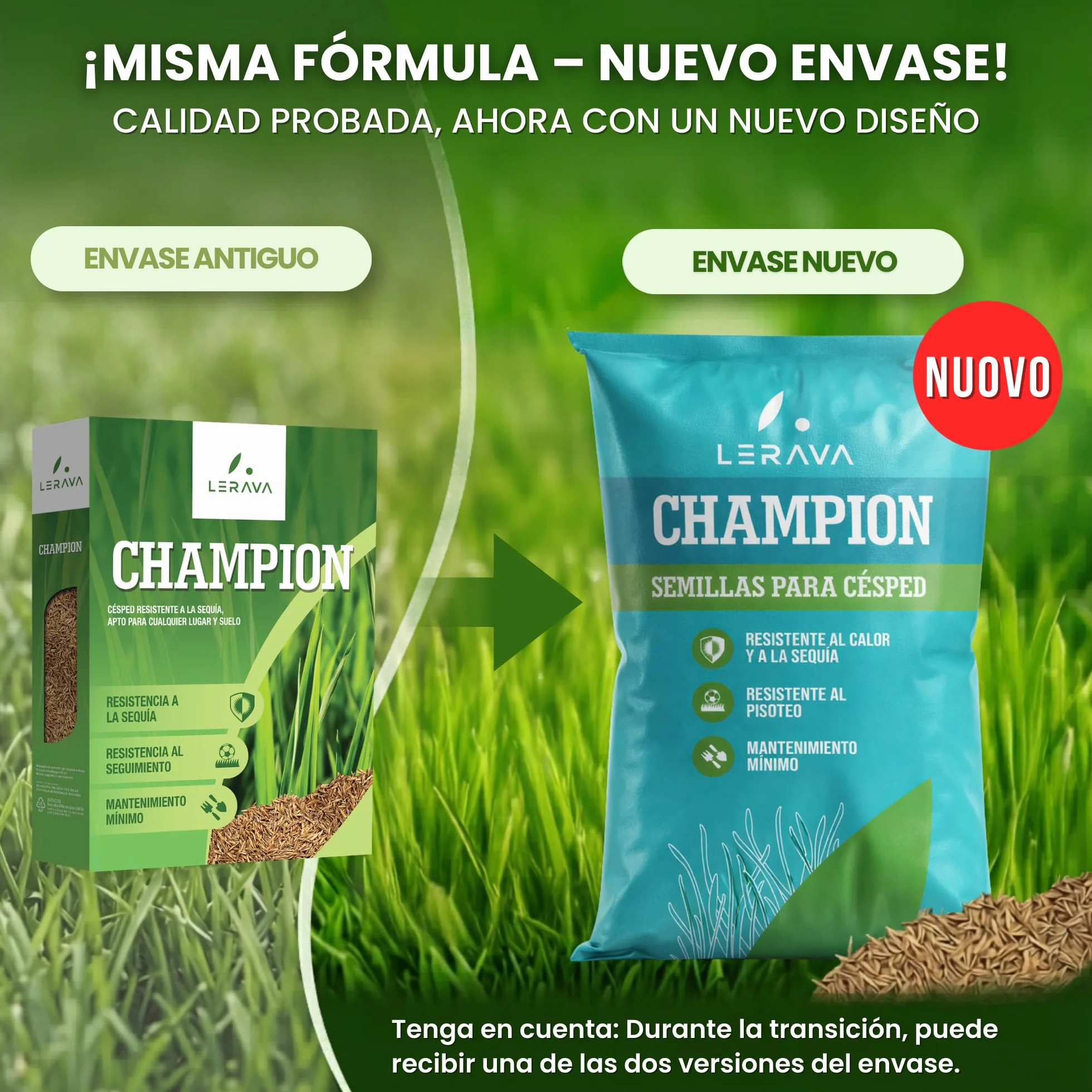 LERAVA CHAMPION semillas césped 30 m² resistente sequía festuca arundinacea bajo consumo agua crecimiento rápido