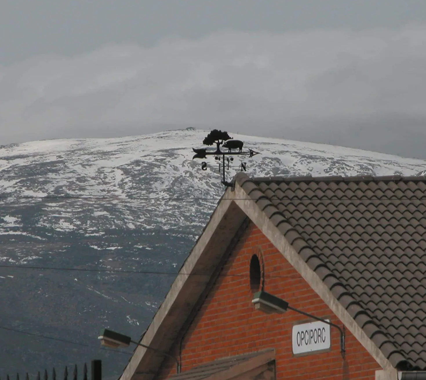 Veleta de Viento de Hierro para Tejado Gallo Negro Mate 90x57x100,5 cm