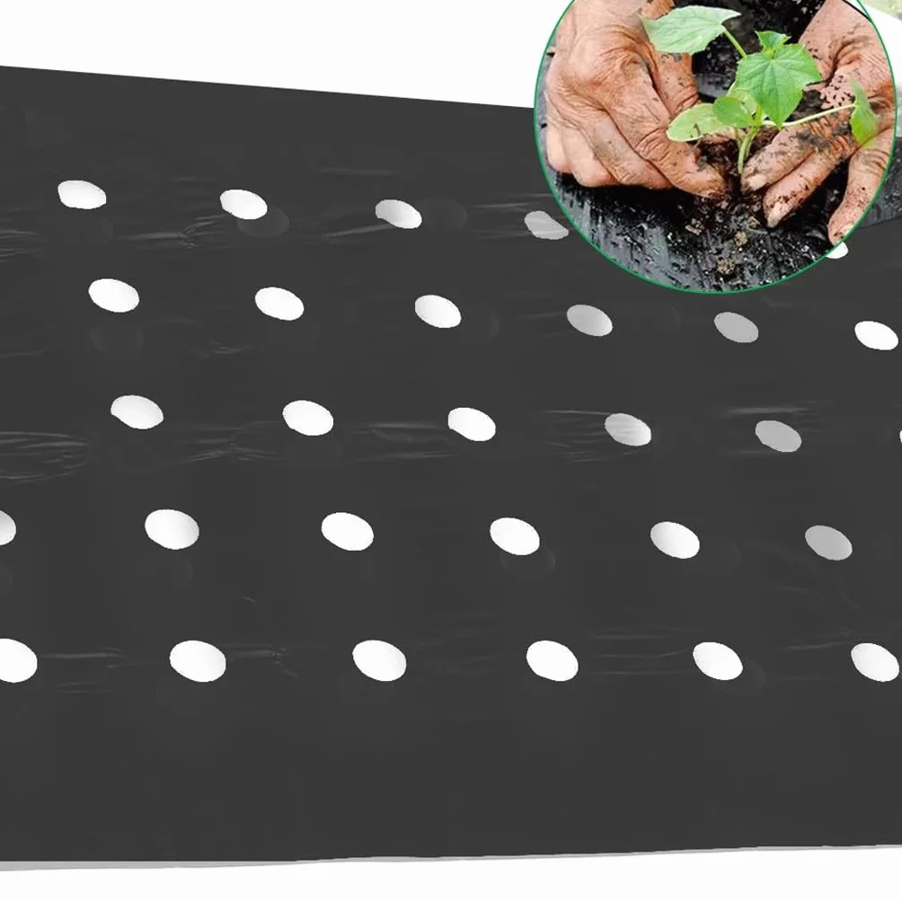Láminas de plástico, membranas Impermeables, Polietileno. Película Perforada de 10 m for invernaderos, huertos, Fresas y Control de malezas (0,95 x 10 m, 5 Agujeros)(0.95x10M5Hole)
