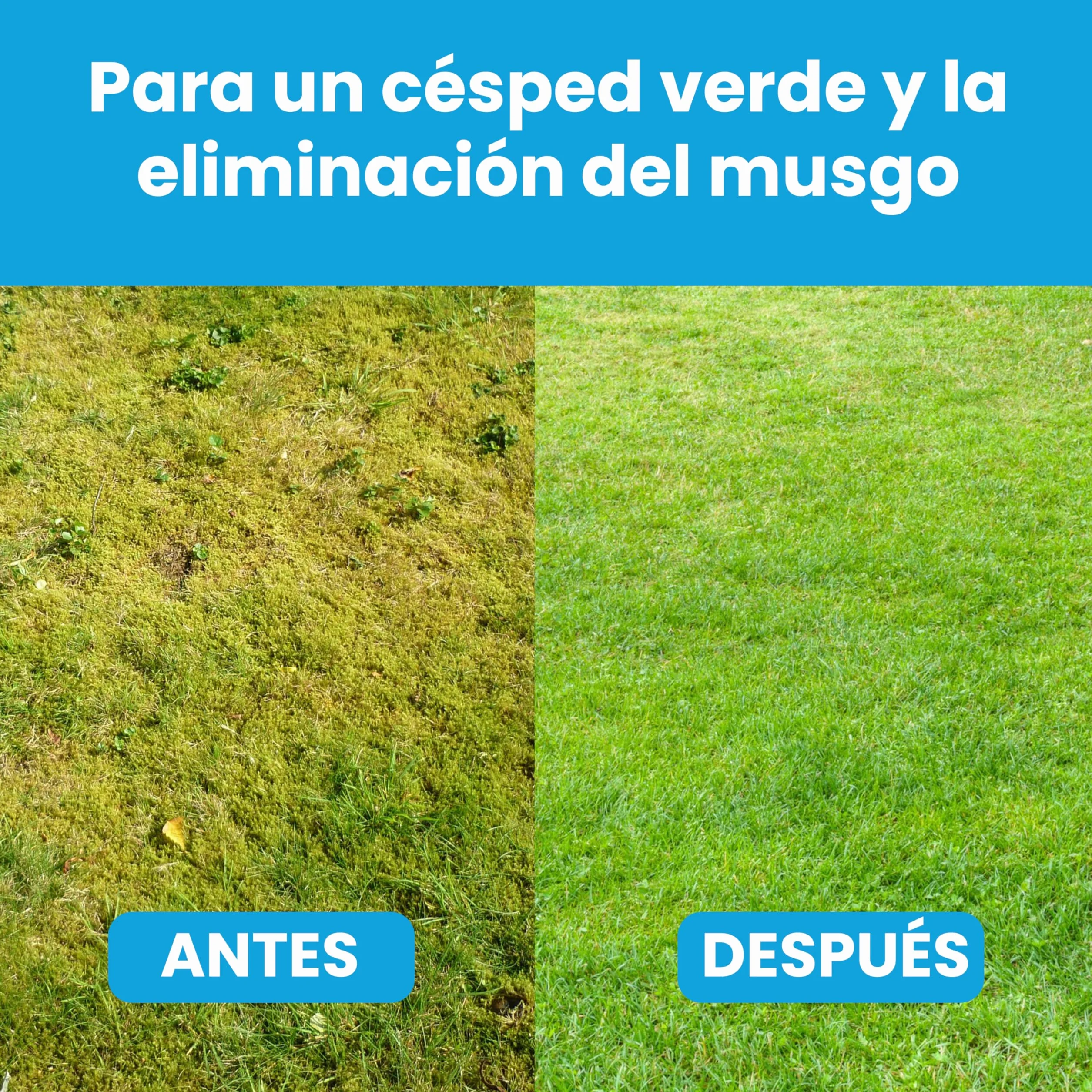 LERAVA Sulfato de Hierro Granulado Fertilizante para Plantas y Jardines Césped Árboles 20m²