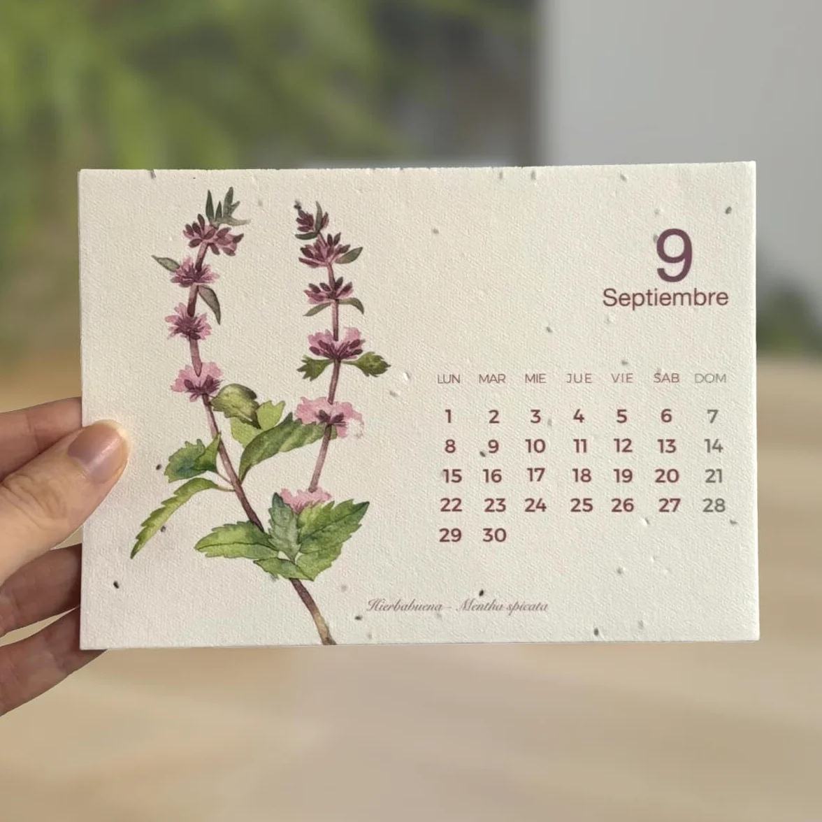 Planeta HUERTO Calendario Plantable 2025 Ecológico Sostenible Cultivar Flores Mes a Mes