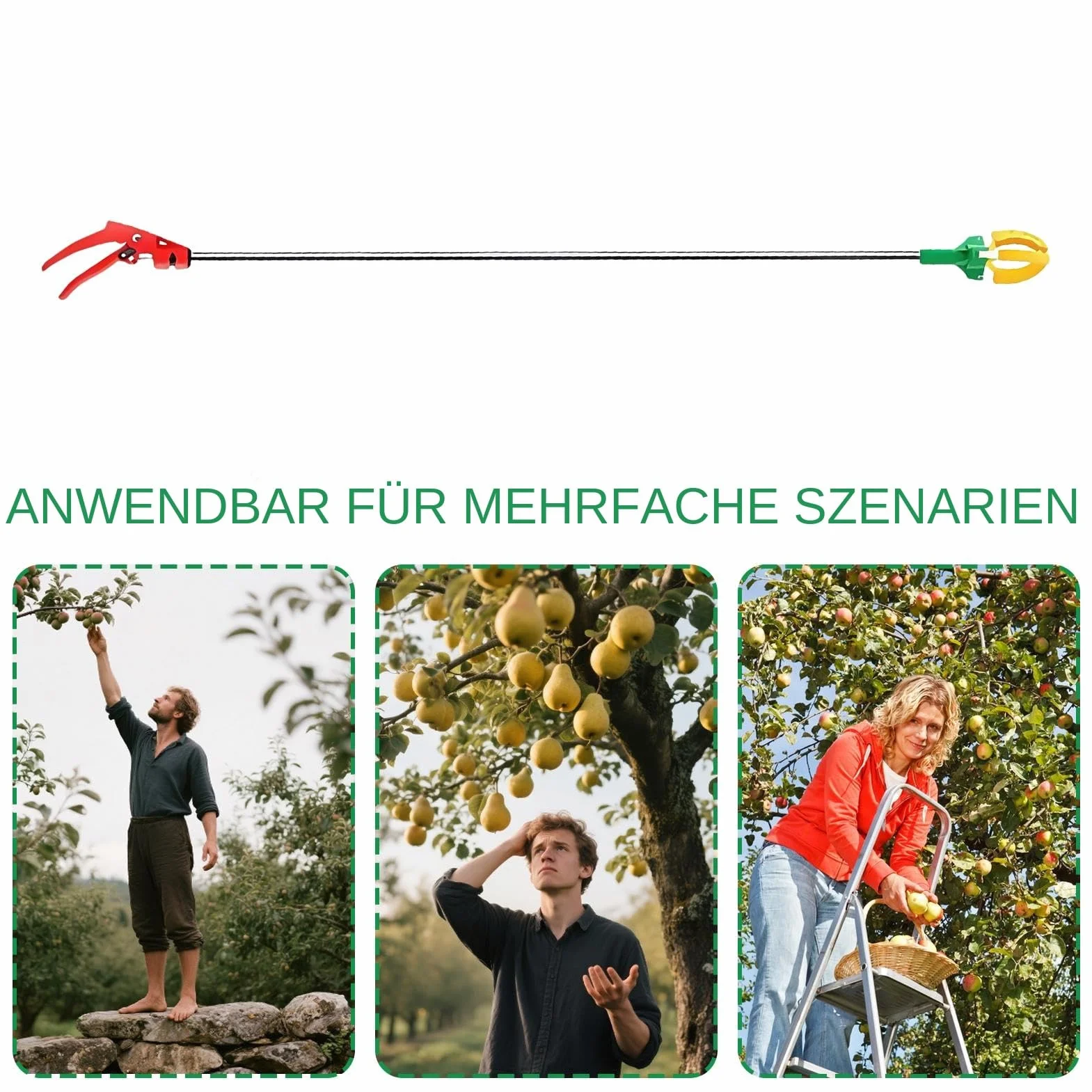 Recogedor de frutas para árboles, recogedor de frutas extensible de 3 garras, dispositivo manual ajustable para cosechar peras, aguacates, cerezas, caquis 3 metros