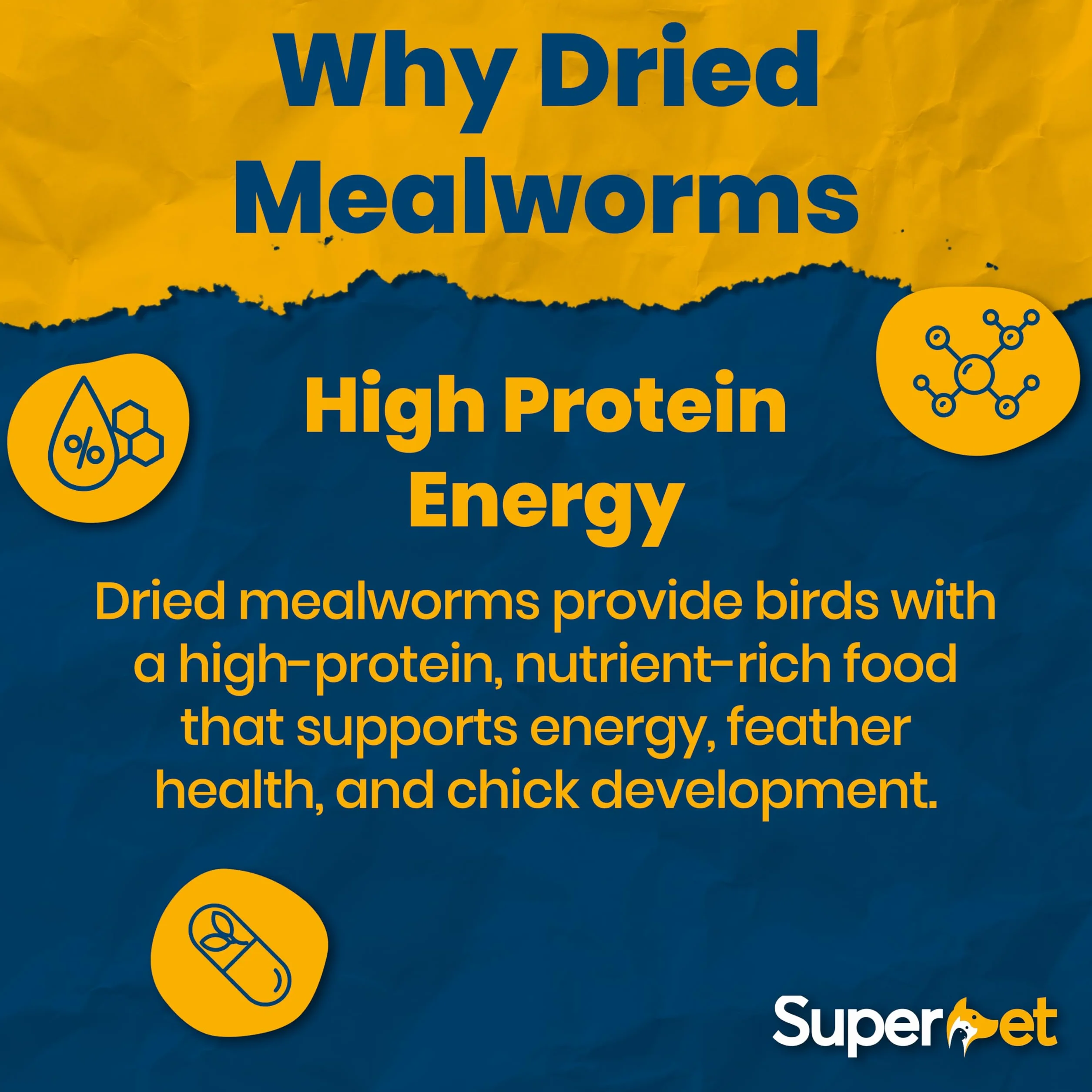 Mealworms 5 kg de gusanos de la harina secos para aves silvestres
