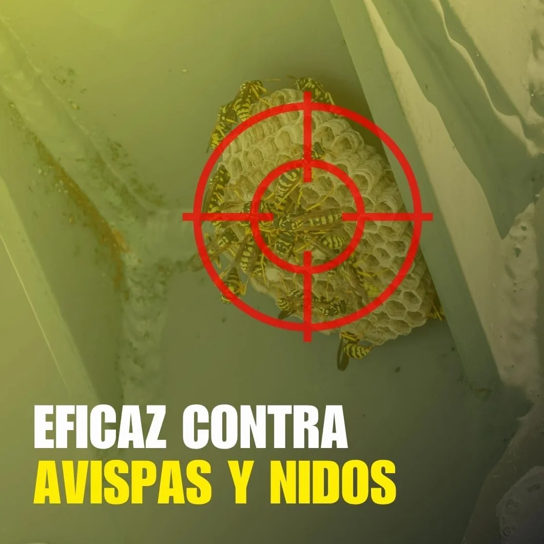 VINFERMATON Insecticida Avispas y Avisperos Exterior Pack 2×600 ml Antiavispas Alcance 4 m Acción Inmediata Profesional
