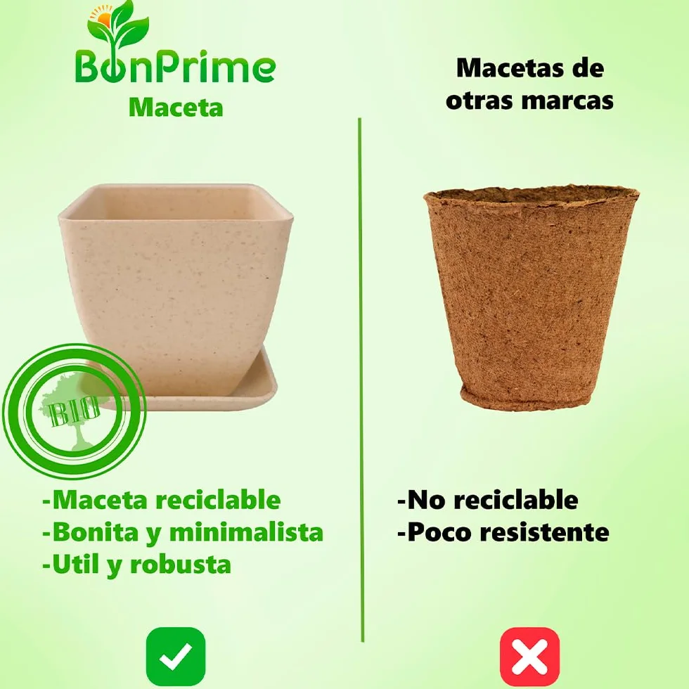 Kit Bonsai para Principiantes - Set de Cultivo con 4 Semillas, Macetas de Bambú, Turbas, Marcadores, Pinzas y Spray