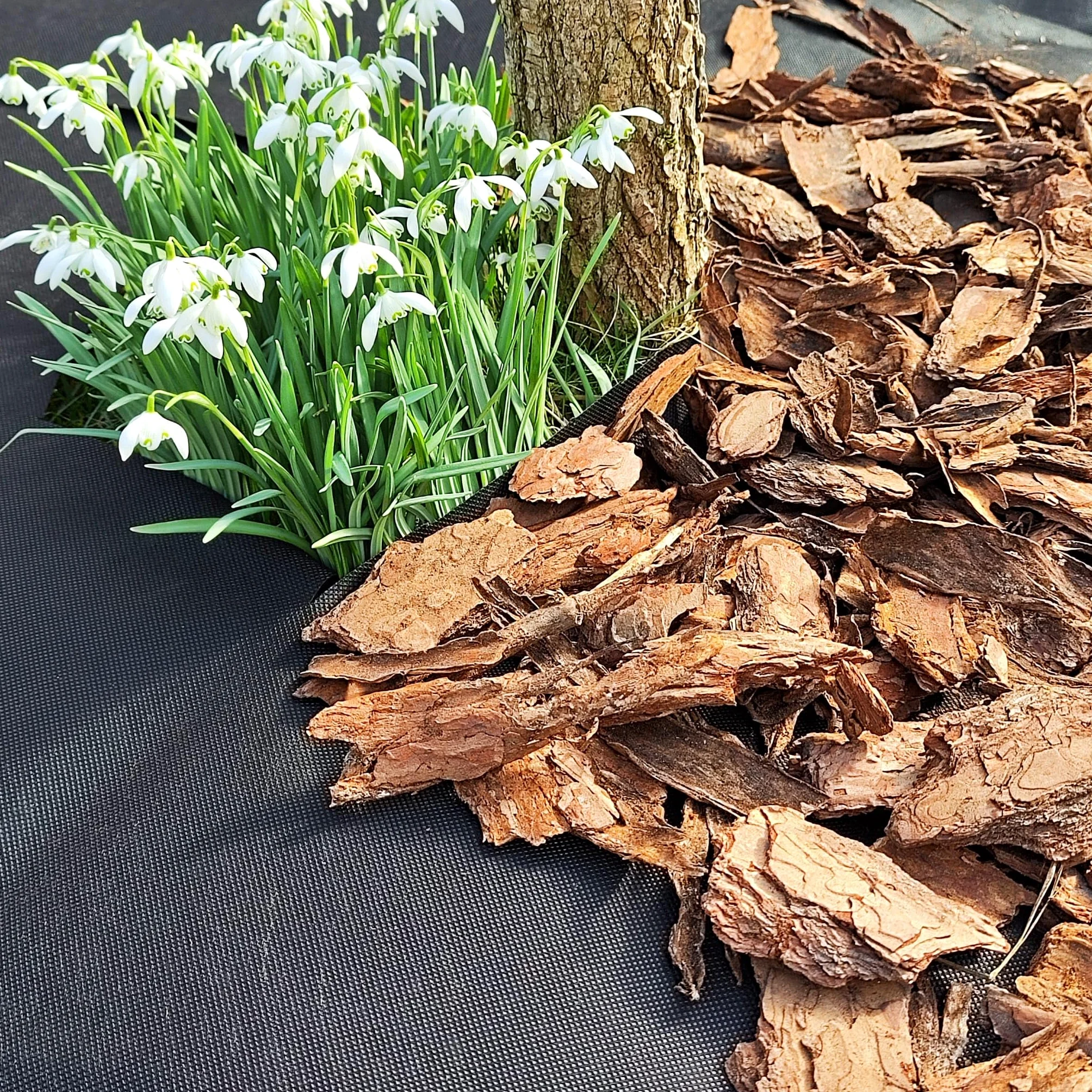 EraGreen Premium Tela antihierbas 150g/m² - 0,8m x 20m Tela para jardín, impermeable y UV-estable - Estera antihierbas ideal para jardín y jardinera elevada - Lámina de mantillo respetuosa con el