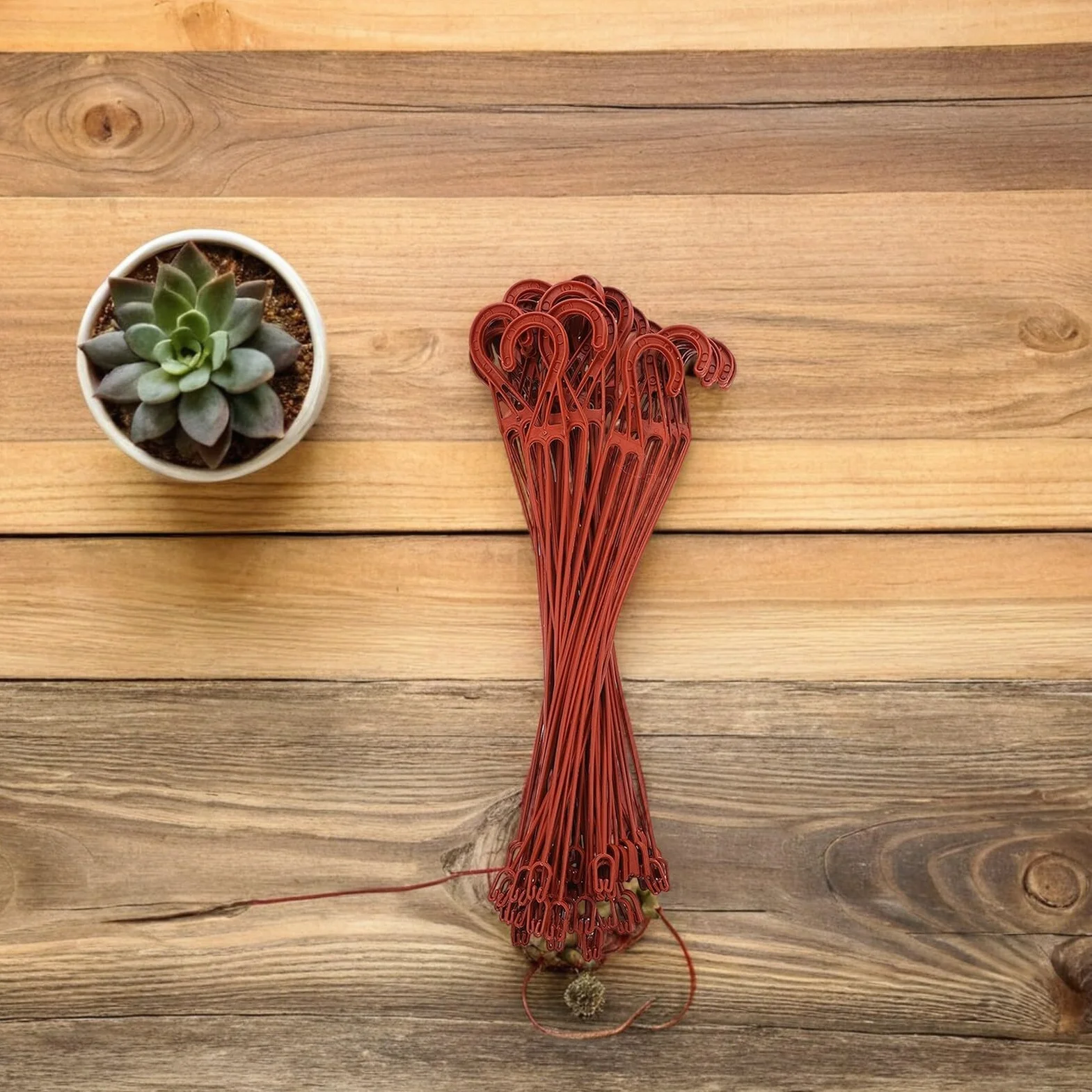 COLLBATH 30 Ganchos para Plantas de Plástico Rojo, Resistentes y Antioxidantes para Macetas Pequeñas, Accesorios de Jardín para Colgar Tiestos en Balcón