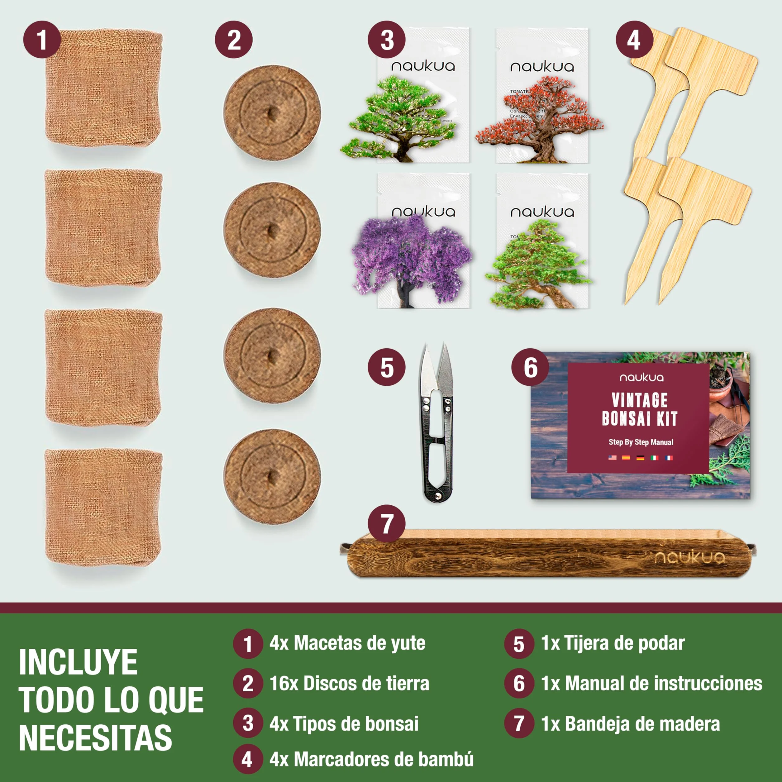 Kit Vintage Bonsai 4x Especies Semillas Orgánicas Guía Completa Plantación