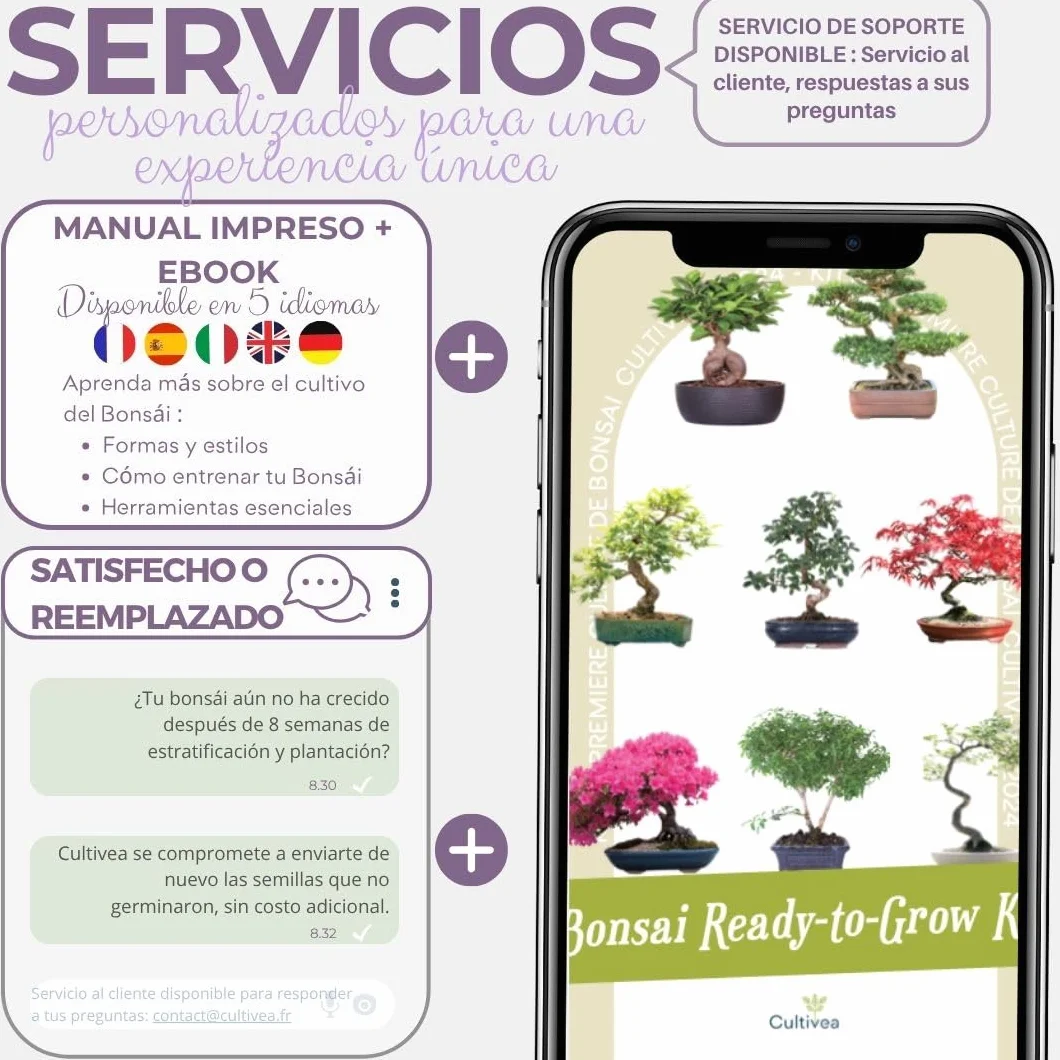 CULTIVEA Kit First Bonsai Autocultivo de Bonsáis con Semillas y Herramientas Cercis chinensis
