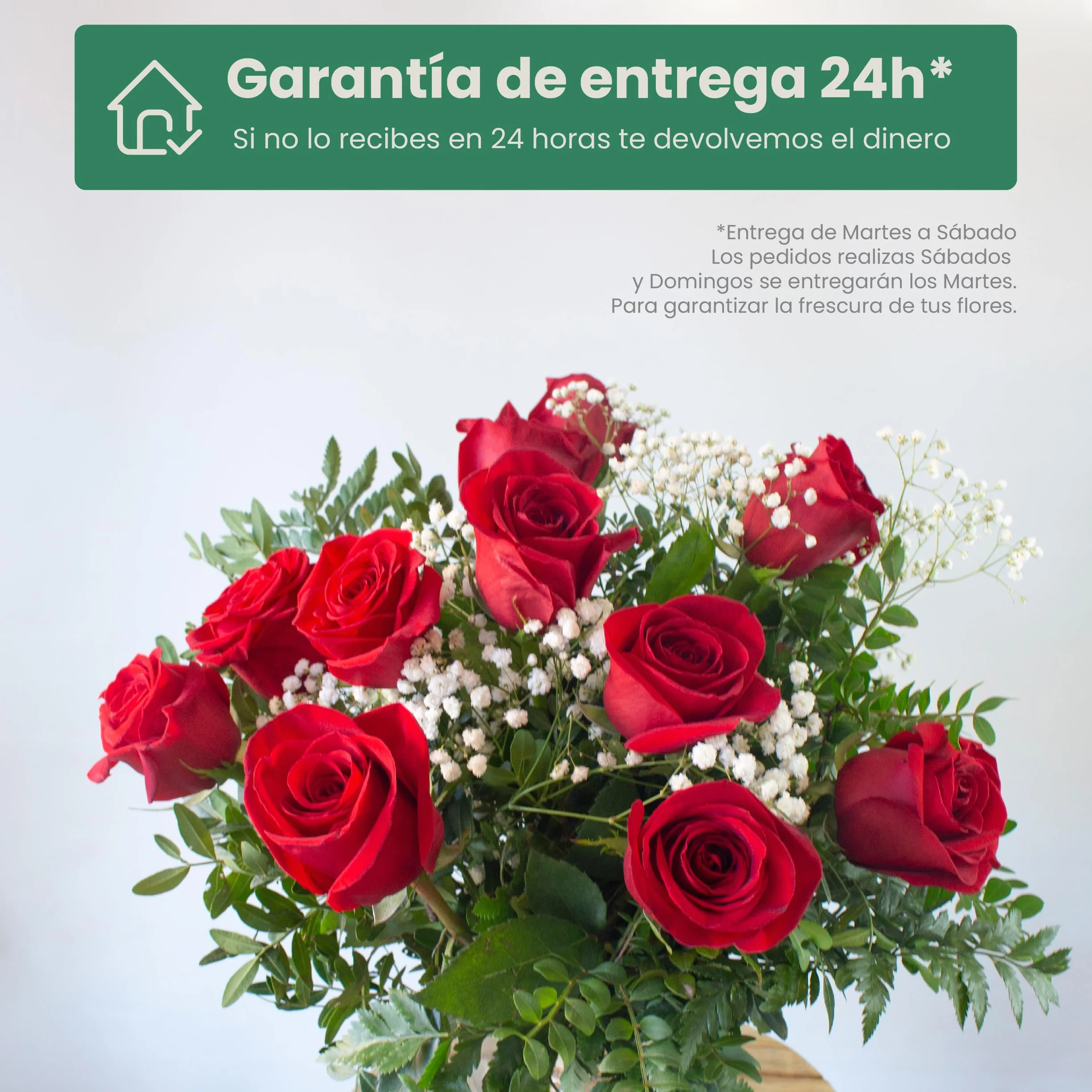 Acurrucalas® Ramo de Flores Rosas Rojas con Dedicatoria 12 Flores Frescas Naturales
