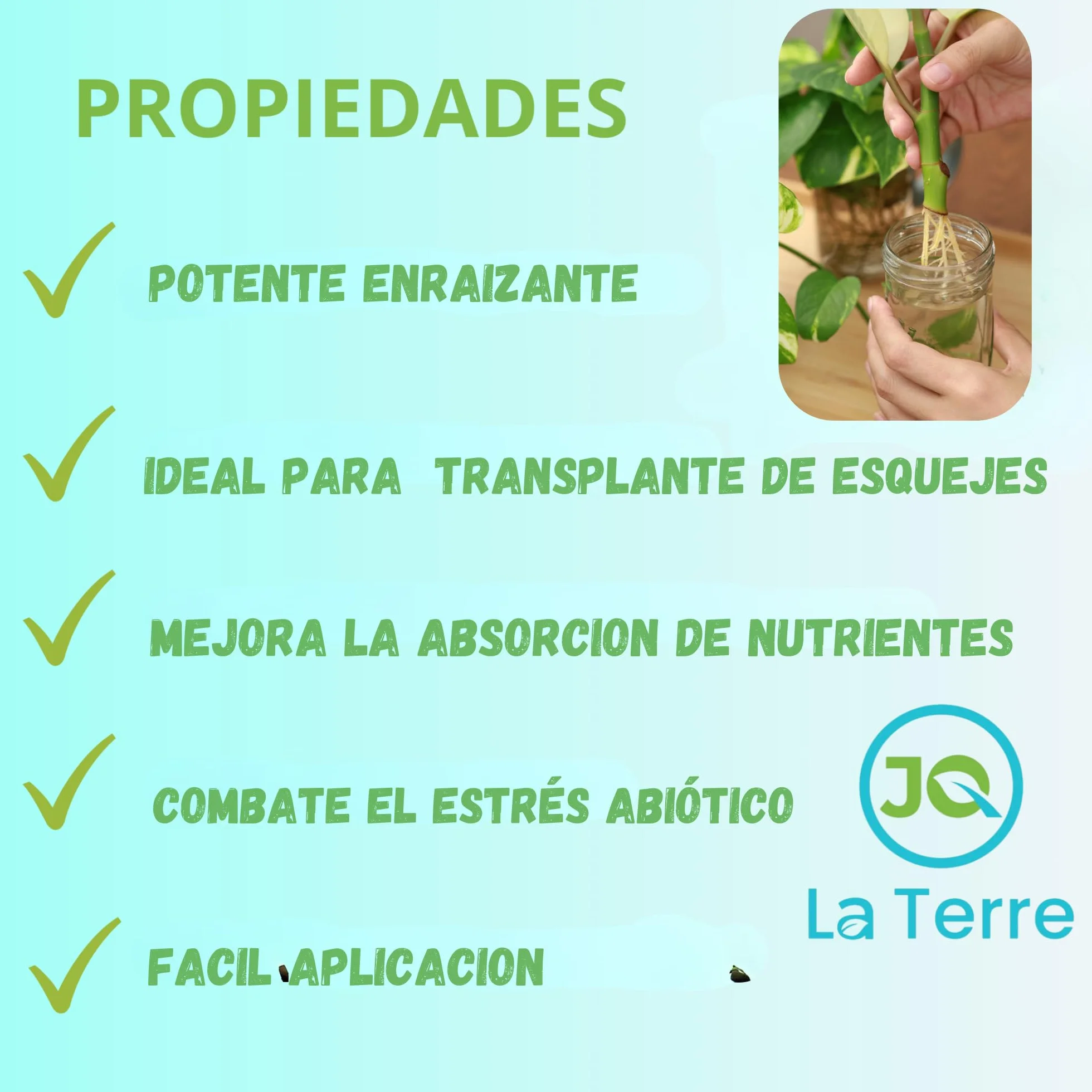 Enraizante para Esquejes 5 Litros Hormonas Enraizamiento Ecológico Potente Crecimiento Radicular