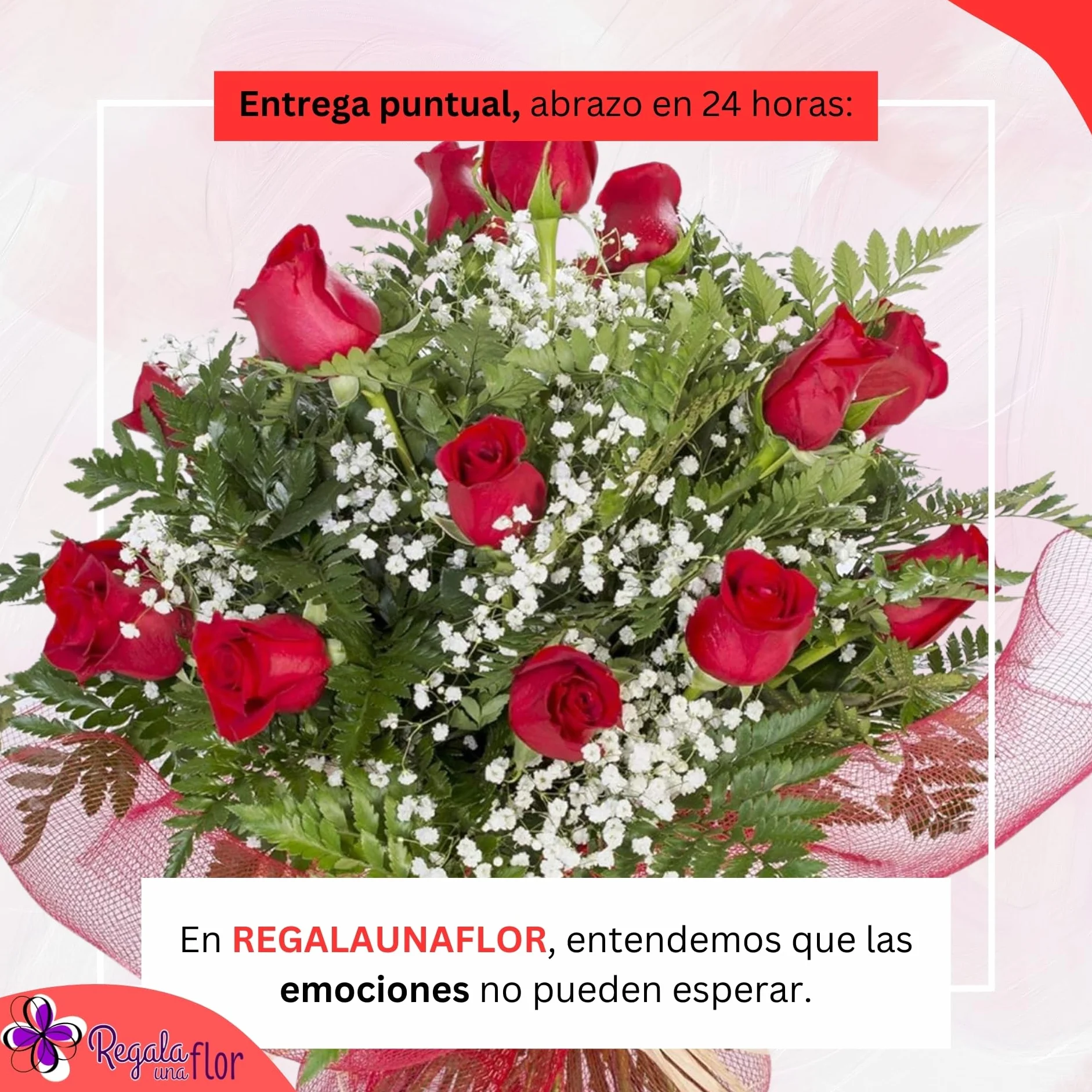 Ramo de 20 rosas rojas naturales a domicilio con tarjeta dedicatoria