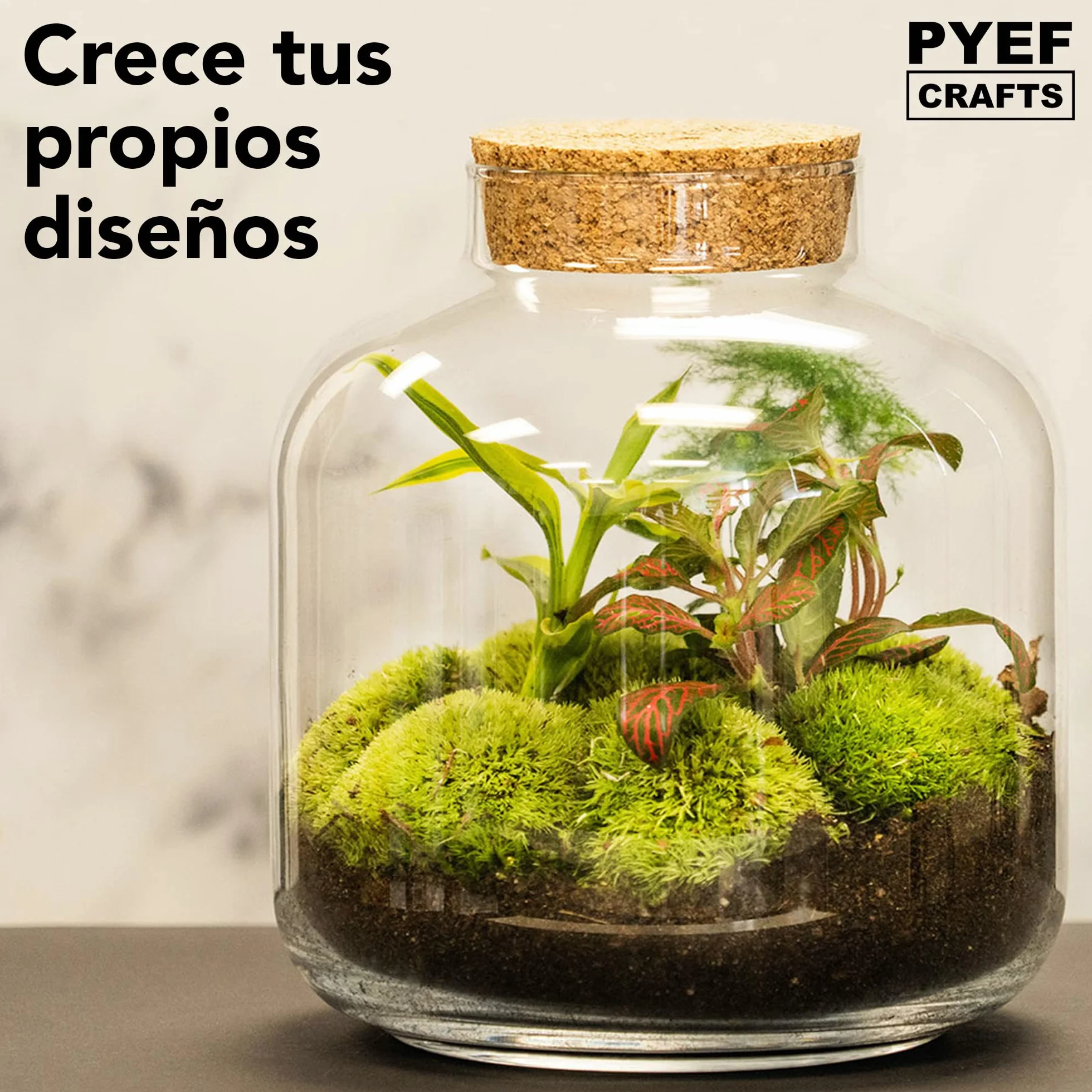 Kit Terrario Plantas DIY - Set Ecosistema Cerrado para Jardin en Botella 1-2L - Terrarium Interior - Kit Creacion Sin Planta