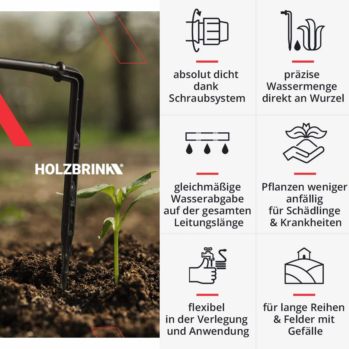 HOLZBRINK Set de inicio de riego en invernadero, riego por goteo, sistema de riego: 50 m de tubo LDPE 16 mm, 6x gotero 8l/h, HTB-10-B-50