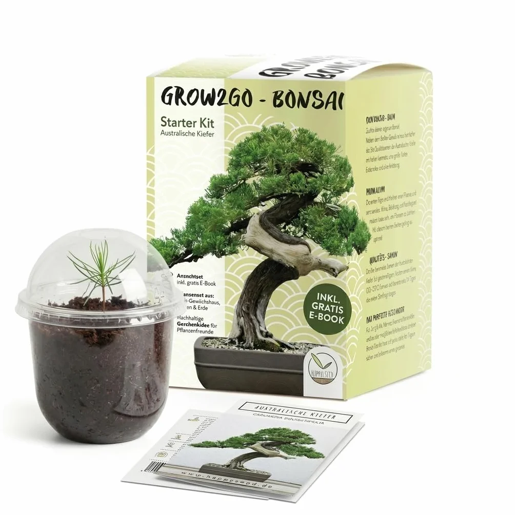 GROW2GO Bonsai Kit Set con Mini Invernadero, Semillas y Tierra - Pino Australiano