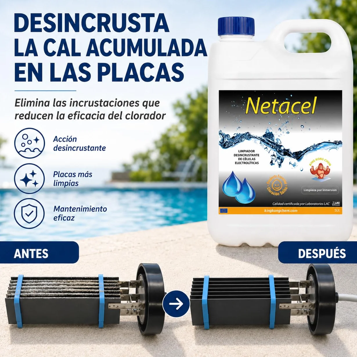 NETACEL 5 litros Limpiador desincrustante para célula clorador salino