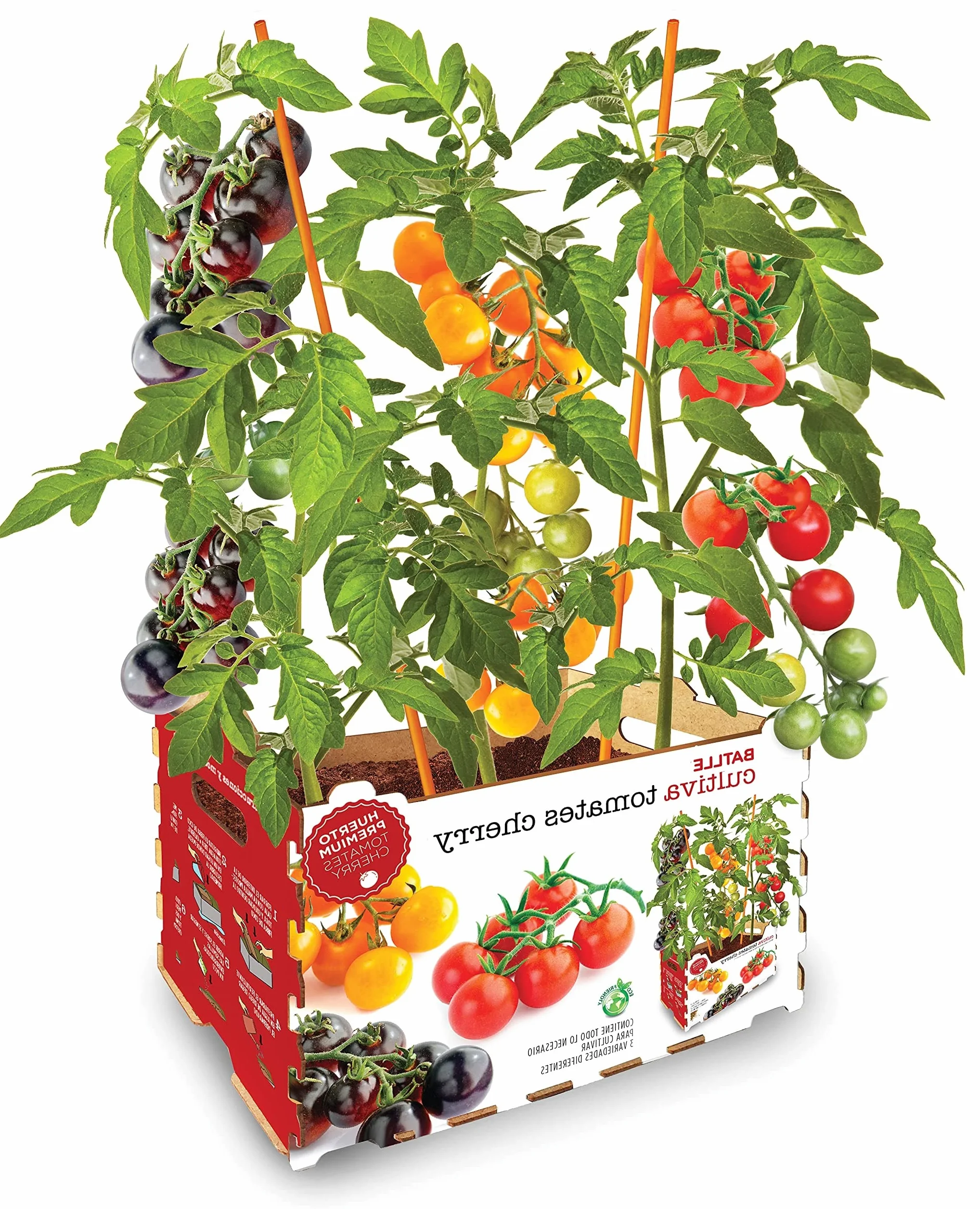 Semillas Batlle Huerto Premium TOMATES CHERRY