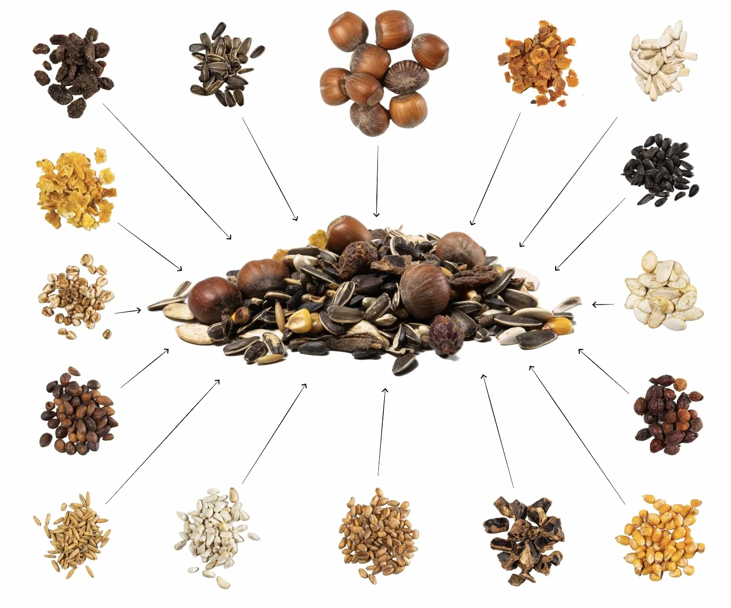 Comida para Ardillas 1 kg Alimento Natural para Animales Silvestres Mezcla Anual con Extra de Avellanas