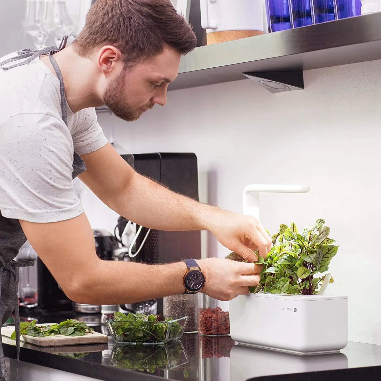 Click & Grow Recambio Cápsulas de Cultivo sin Semillas, Kit de 3