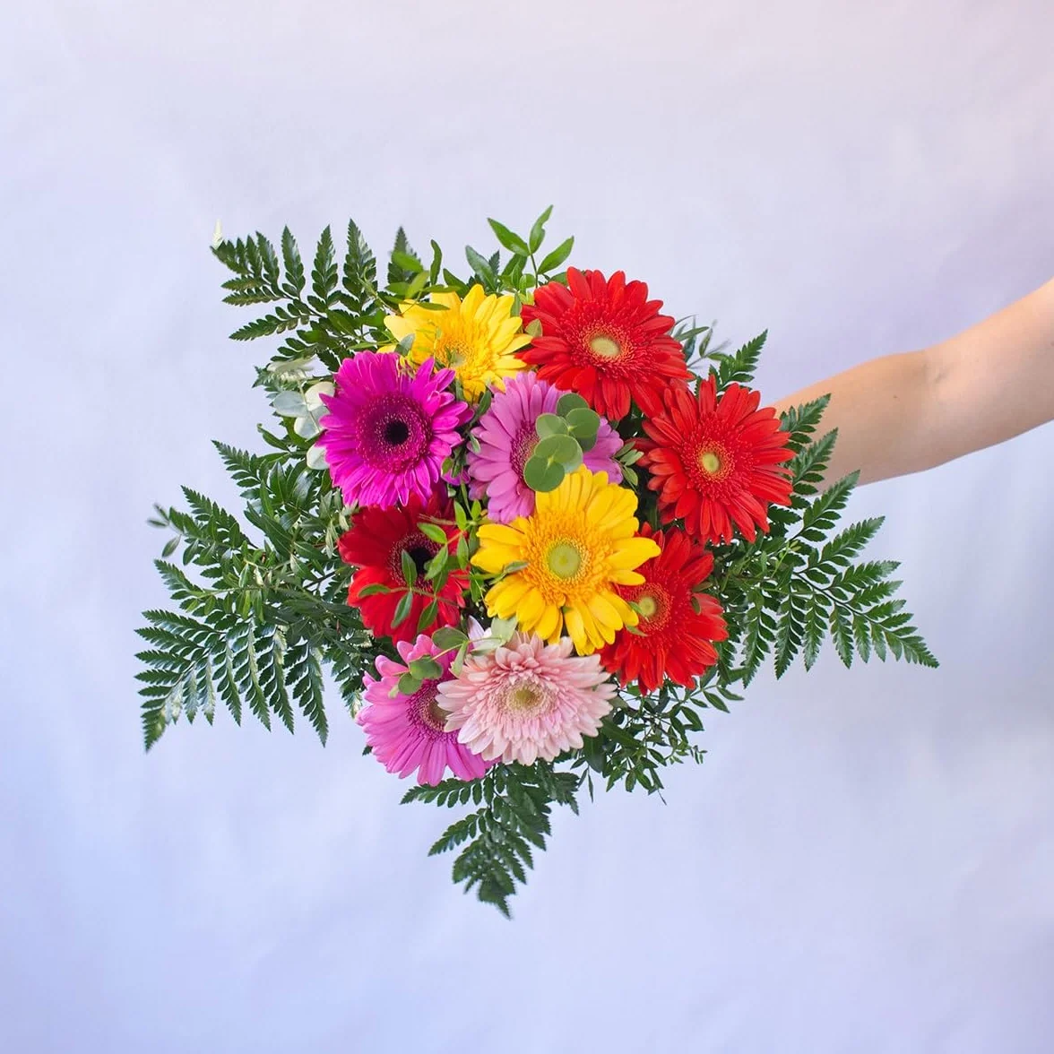 Acurrucalas® Ramo de Gerberas Naturales con dedicatoria Flores Frescas para Regalar
