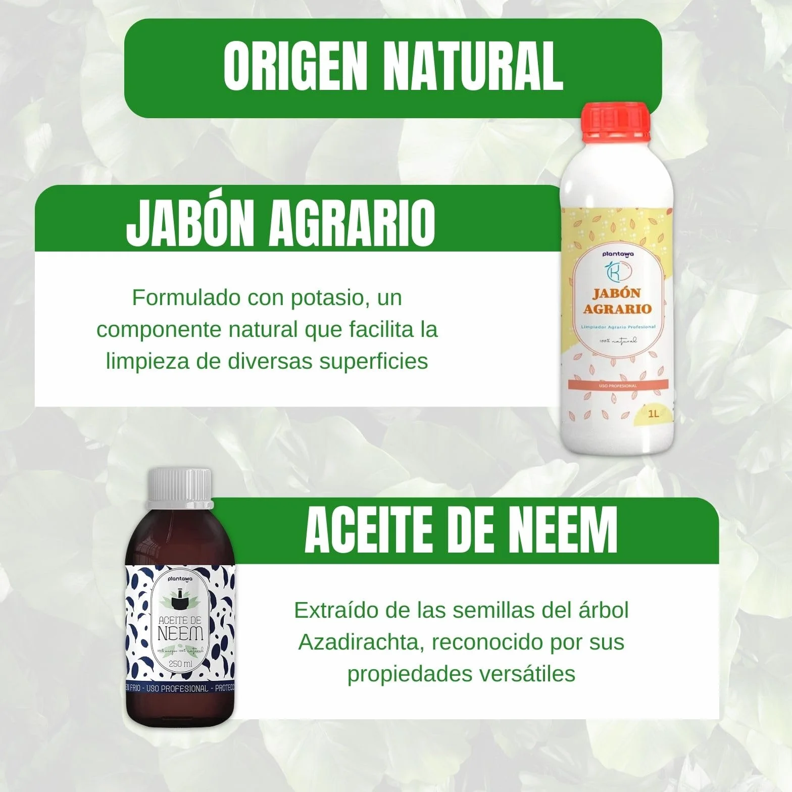 PLANTAWA Jabón Potásico 1L + Aceite de Neem 250ml Solución Multiusos