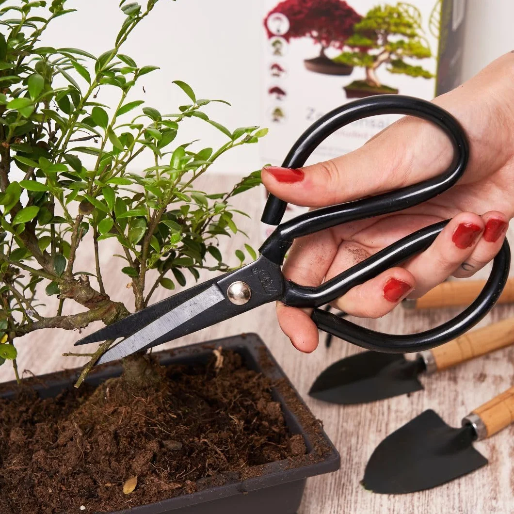 CULTIVEA Kit de Bonsái Premium - Jardinería y Decoración - Herramientas, Tijeras, Fertilizante