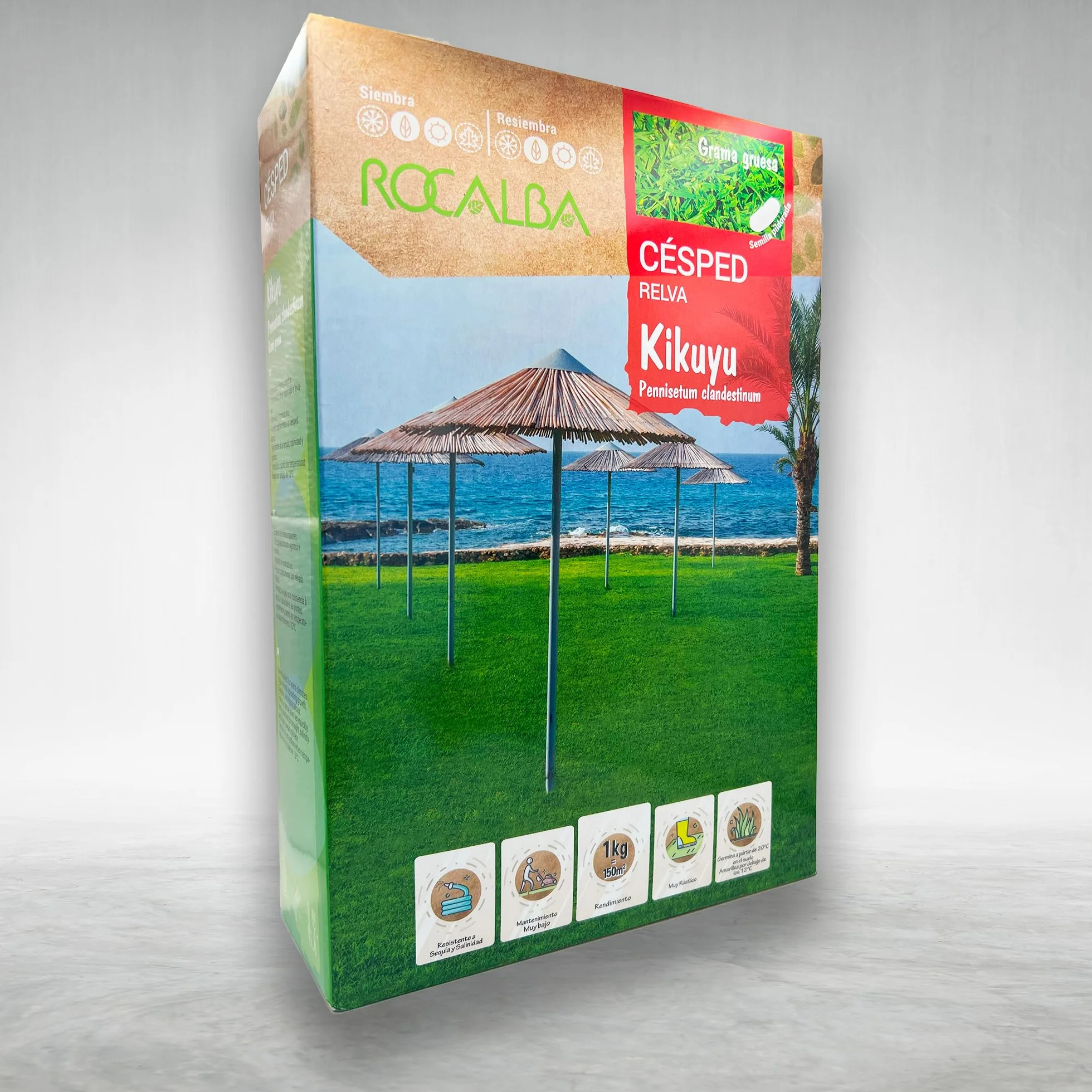 Semillas de Césped Kikuyu Rocalba 1 KG Pennisetum Clandestinum Alta Resistencia