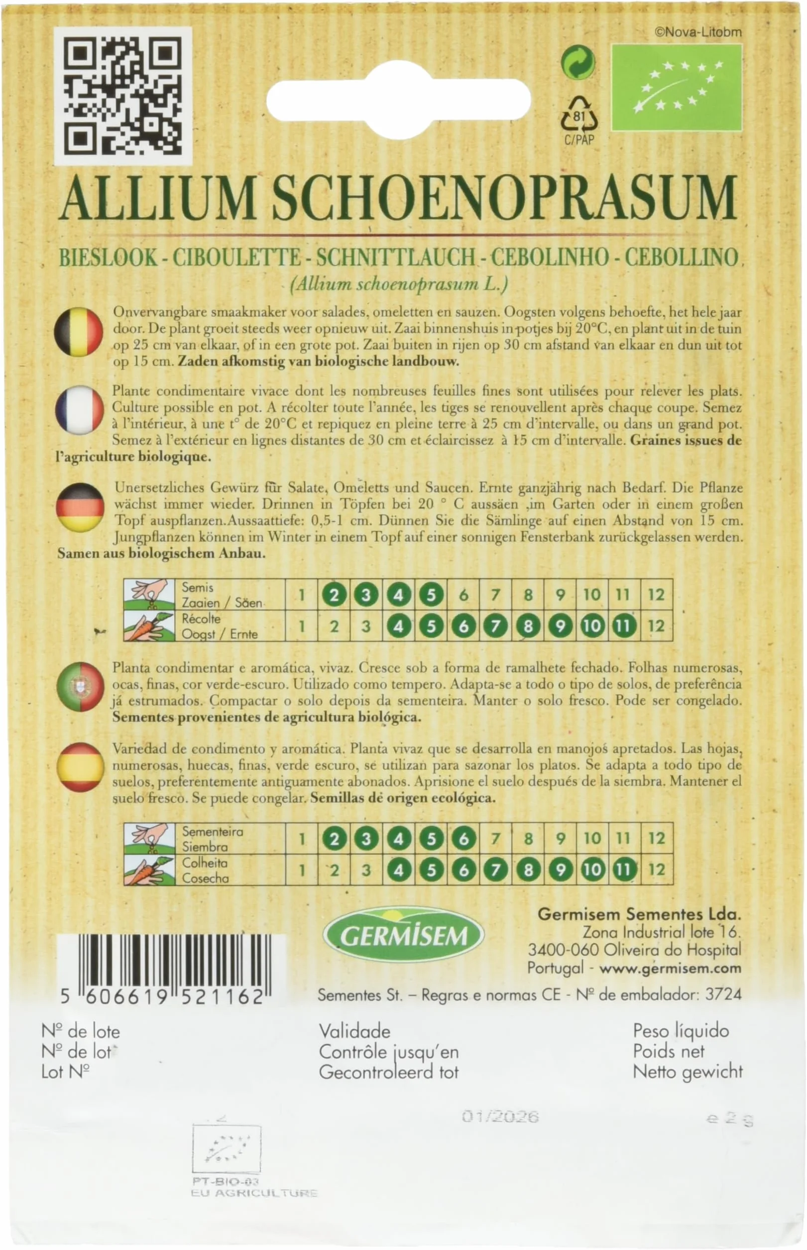Germisem Orgánica Allium Schoenopasum Semillas de Cebollino 2 g