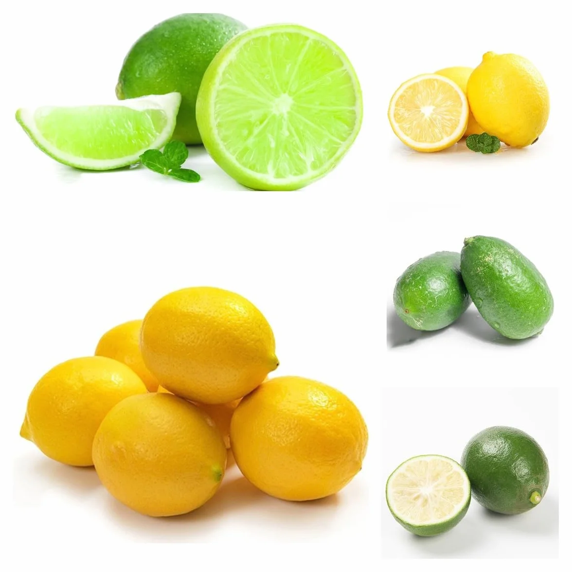 Semillas de Limonero Resistentes 120 Piezas Limón Cítrico Fruta Fresca Plantas de Balcón