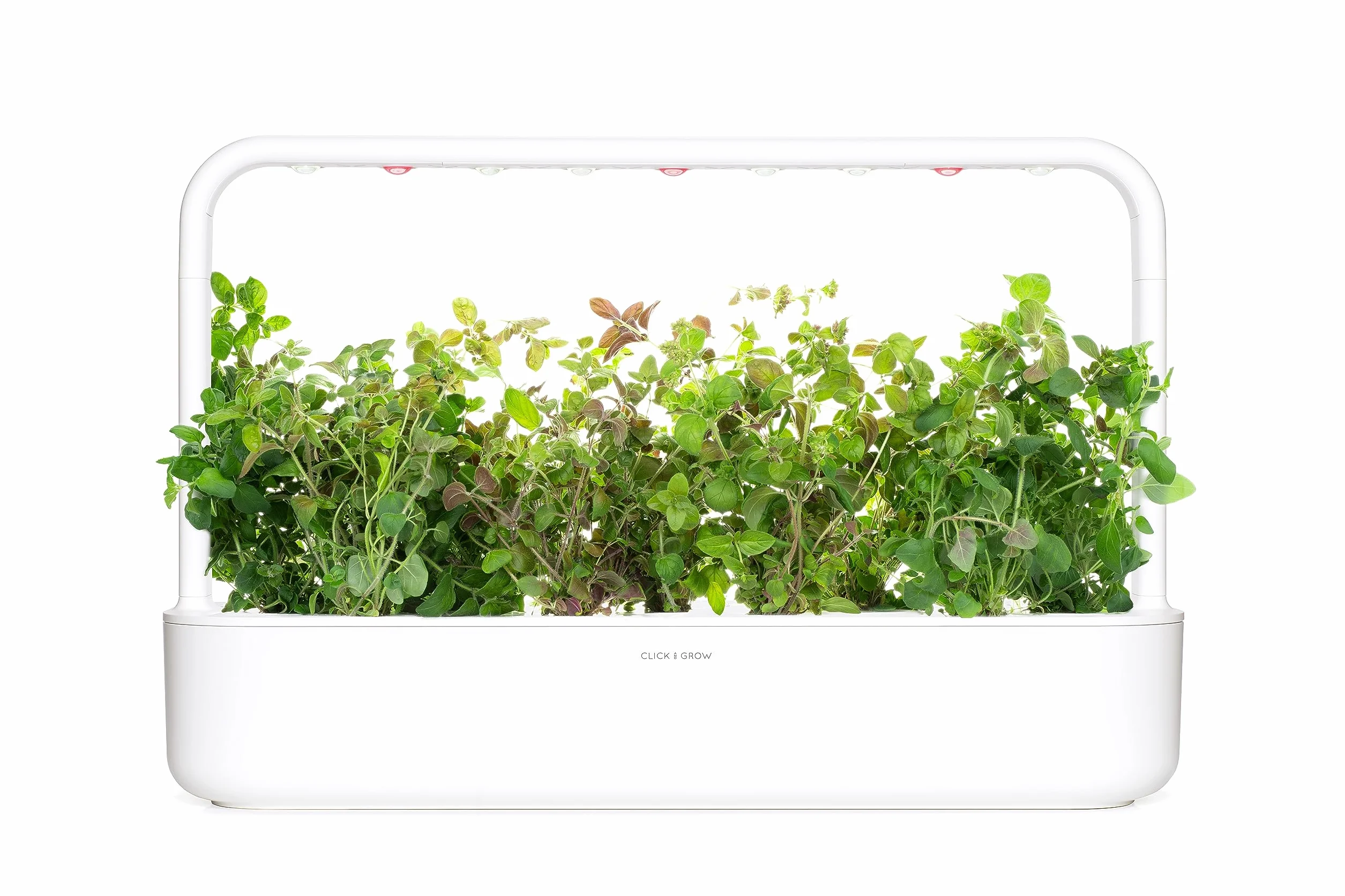 Click & Grow Recambio Cápsulas de Cultivo de Orégano, Kit de 3
