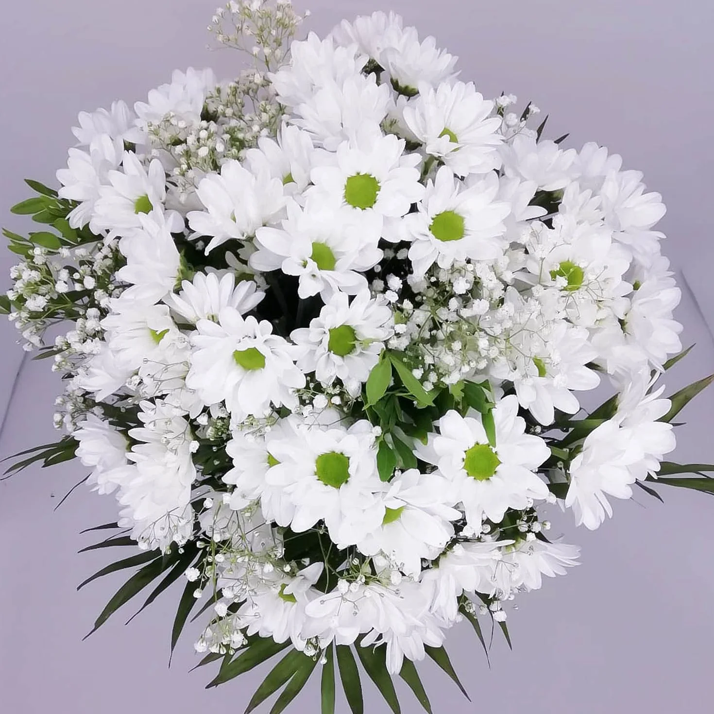 Ramo de flores naturales a domicilio Flores frescas Entrega gratis 24 horas Tarjeta dedicatoria Esperanza Blanco