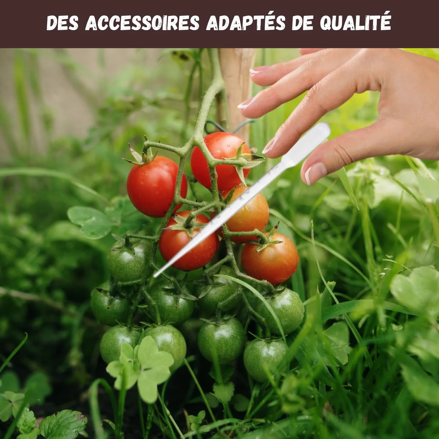 NOPALIA® Kit Tomates Cherry Orgánico Mini Huerto Interior Green Envy Ambrosia Gold Nuggets Regalo Jardinería