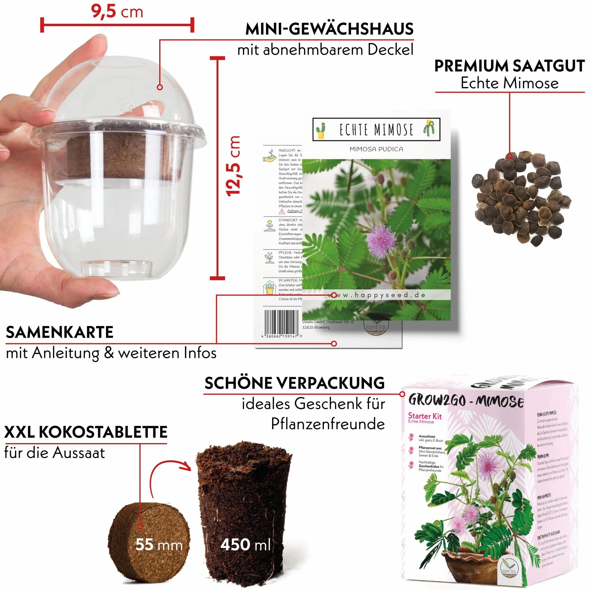 GROW2GO Mimosa Pudica Starter Kit de cultivo - Mini Invernadero, semillas y juego de plantación