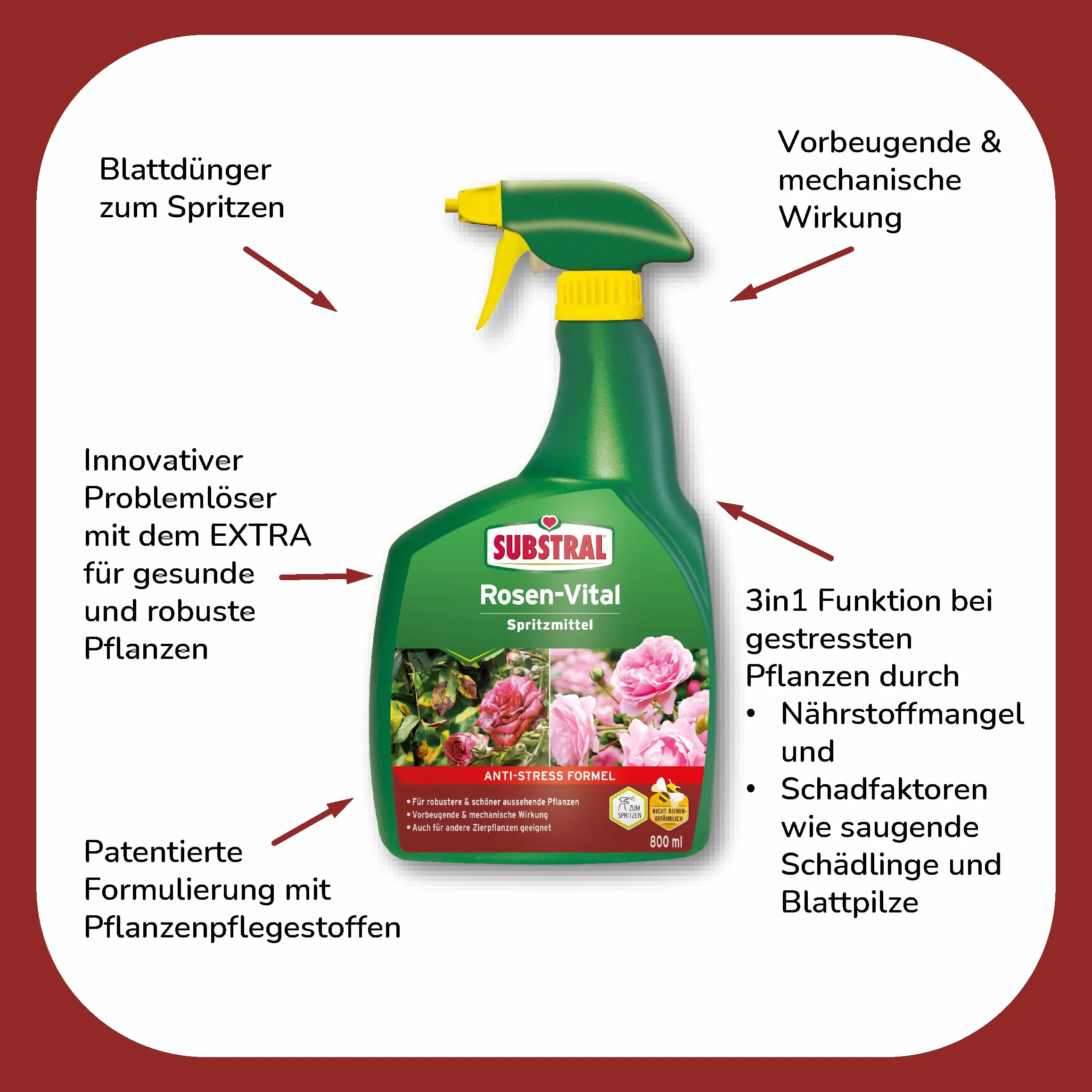 Substral Botella 66830 Verde