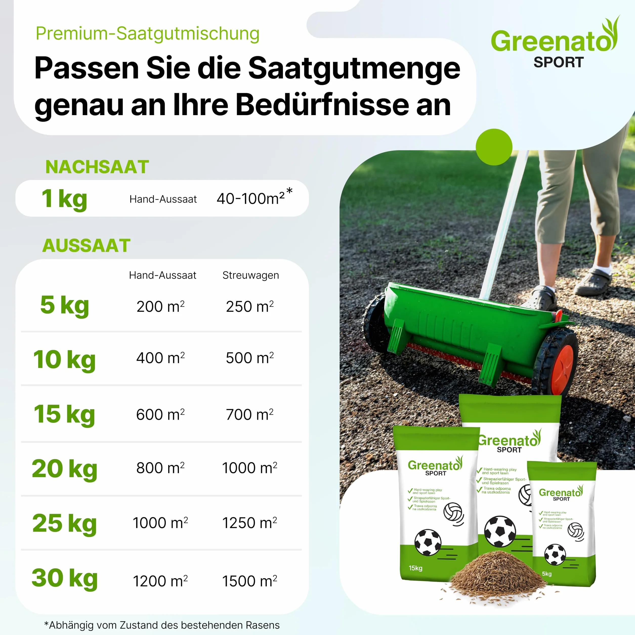 Semillas de césped Greenato Sport 25 kg Césped deportivo