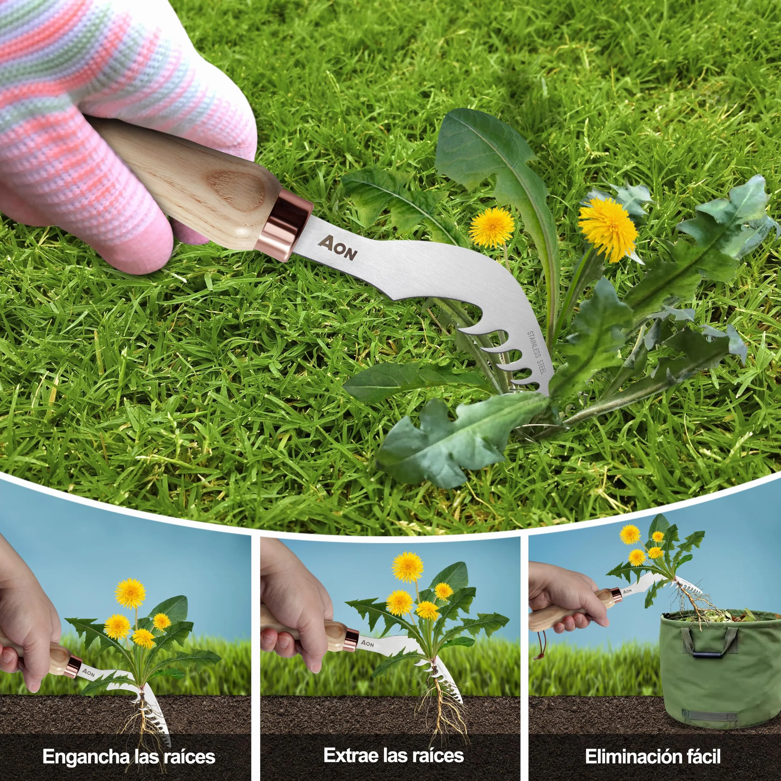 AON Extractor de Malas Hierbas 2-Pack – Acero Termotratado, Mango Ergonómico de Fresno para Jardín y Césped