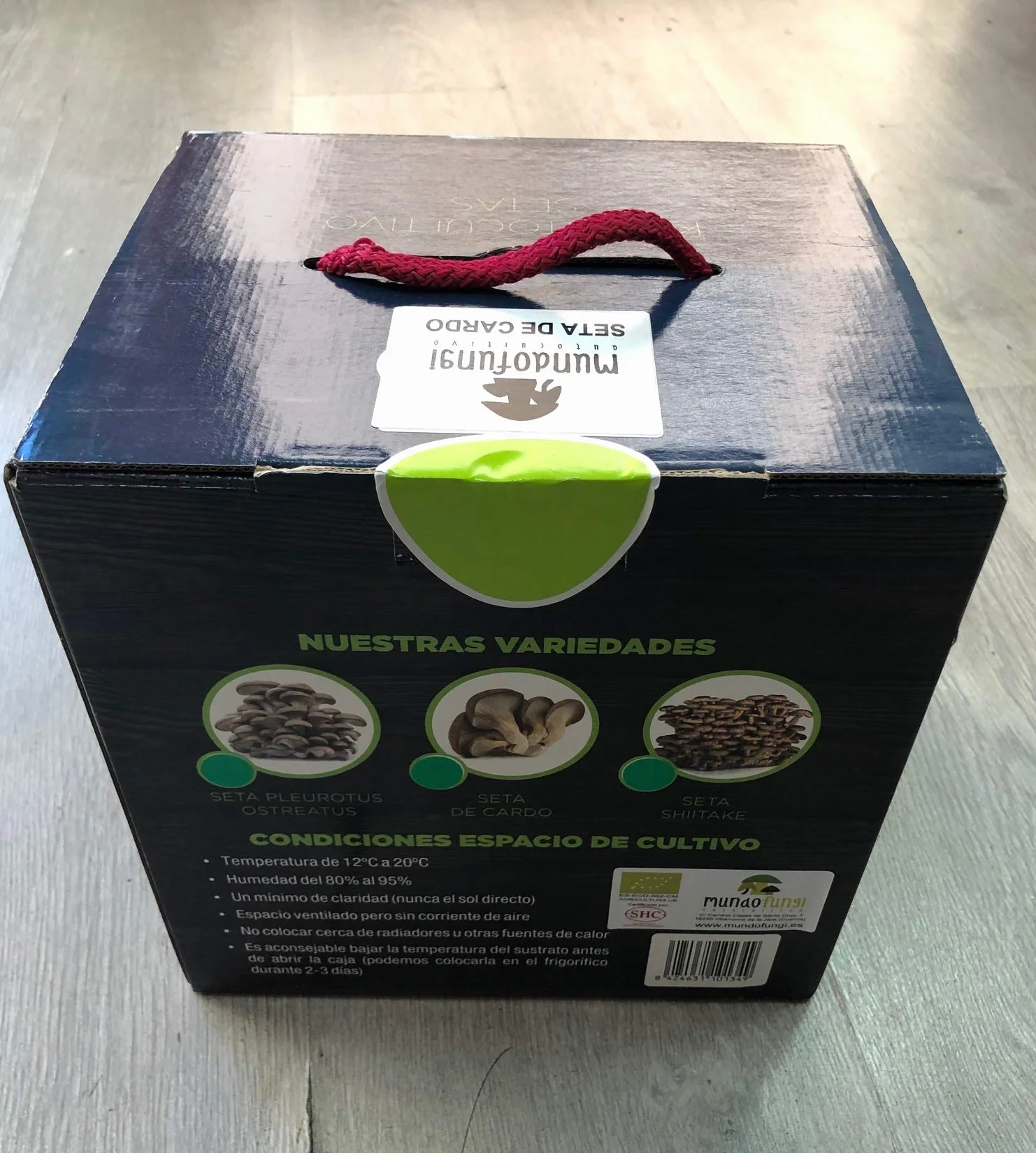 Kit Autocultivo Setas