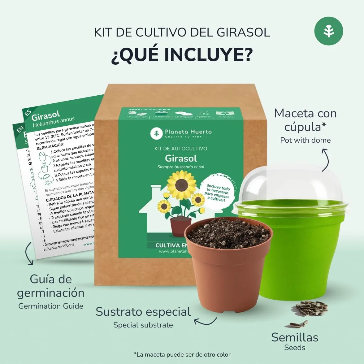 Planeta HUERTO Kit de Autocultivo Girasol – Cultiva Girasoles en Casa