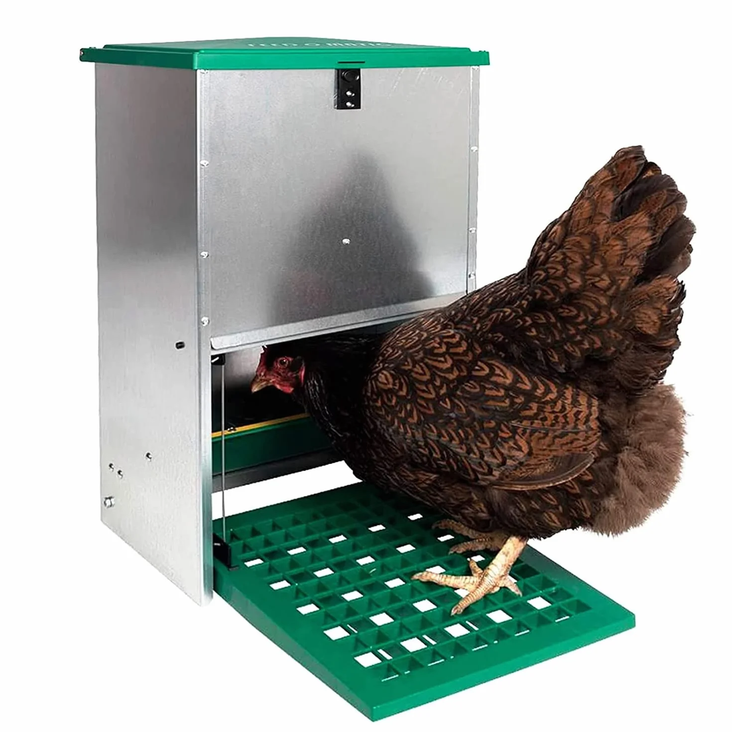 Comedero automático para gallinas antipájaros 5 kg Exterior