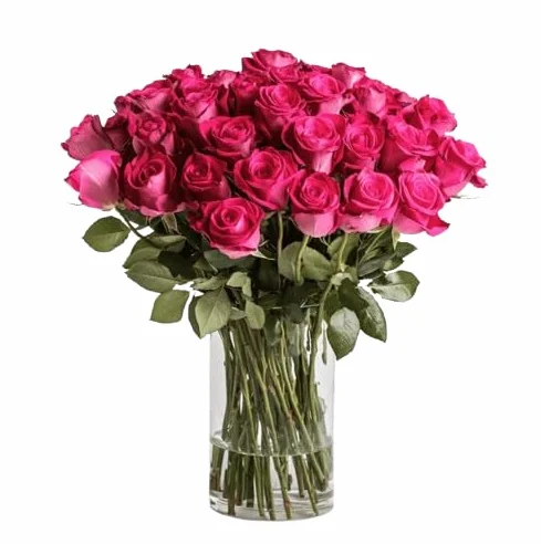 Ramo de Rosas Naturales Flores Frescas Color Rosa Oscuro 25 Flores