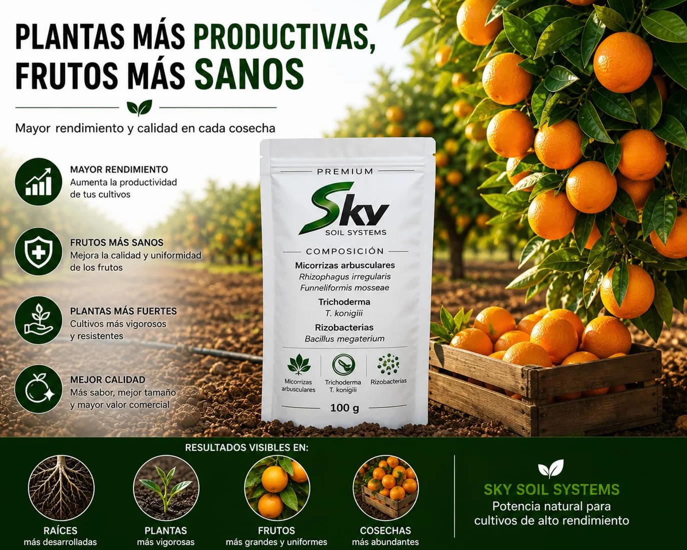 PREMIUM SOIL SYSTEM Micorrizas Arbusculares Trichoderma spp. Bacillus spp. Biofertilizante Estimulador de Raíces